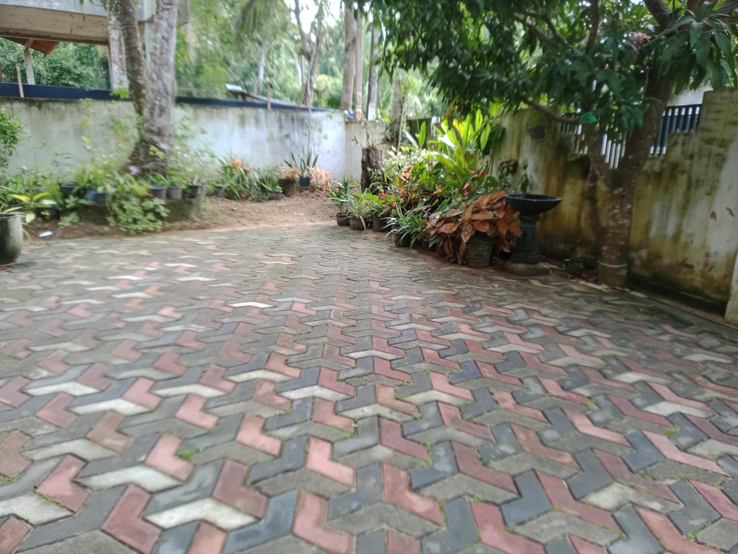 ChenMin Homestay