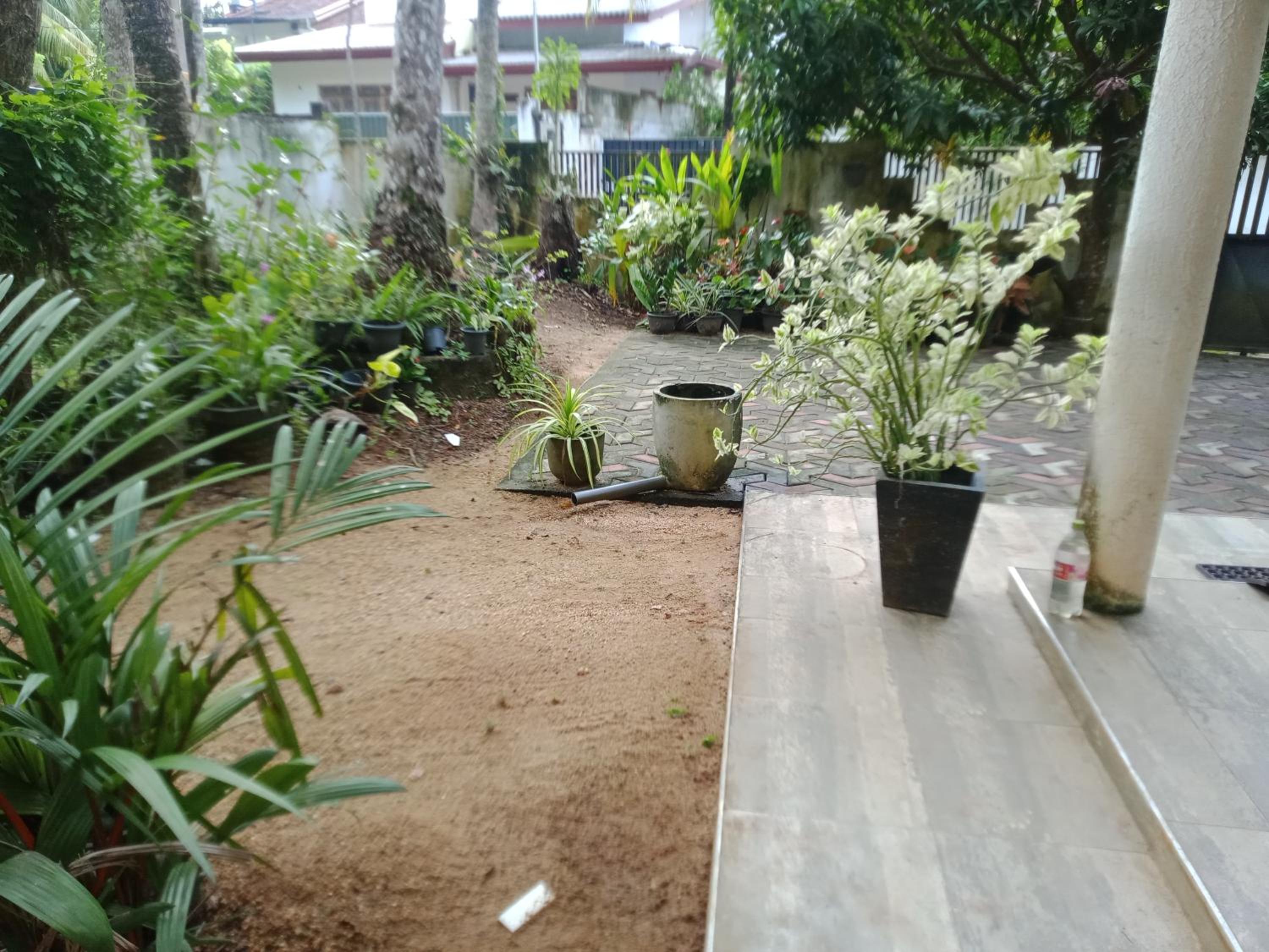 ChenMin Homestay