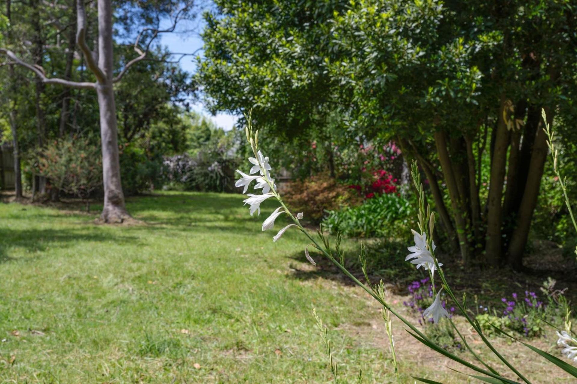 Wentworth Falls Cottage