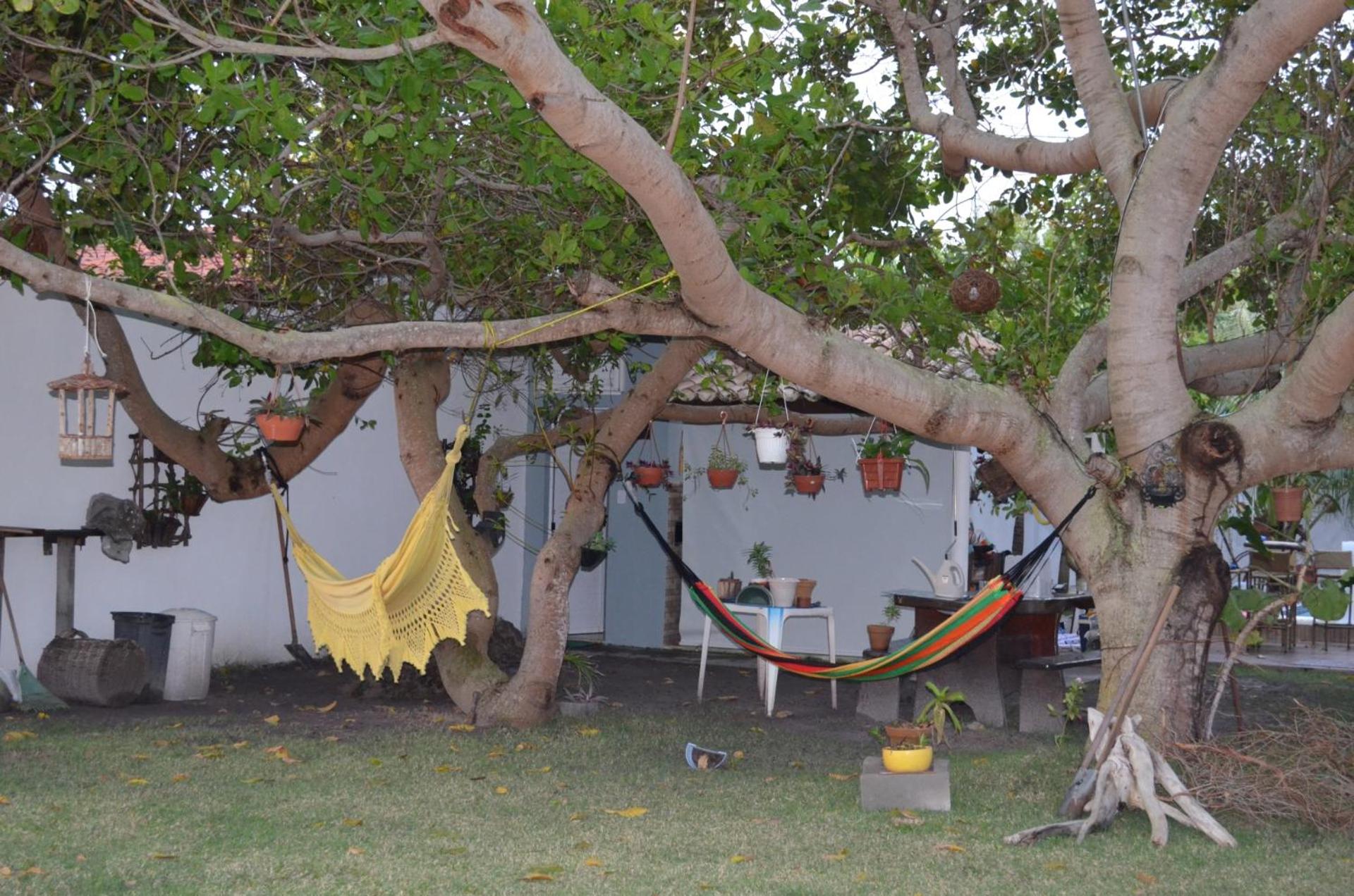 Paraíso dos Coqueiros - Casa Bem-te-vi