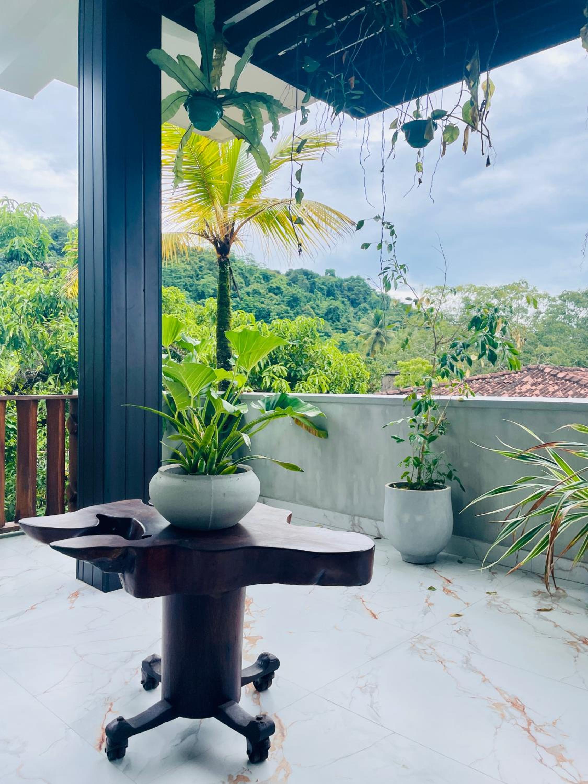 balance & terrace