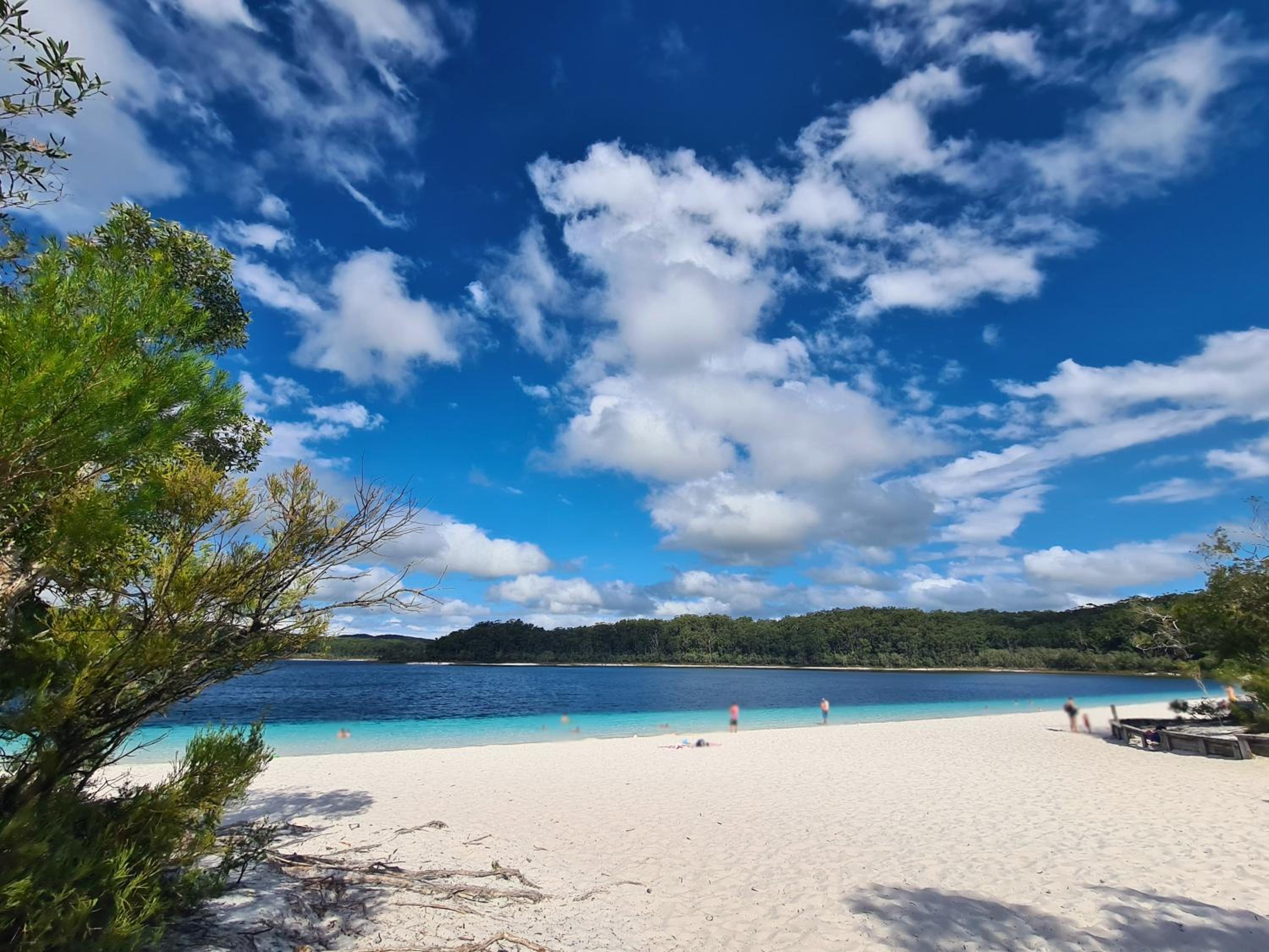 Sandy Escape Holiday House Kingfisher Bay Resort
