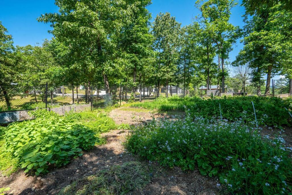 Modern Retreat | 12 min-Oaklawn | BBQ GRILL view 4