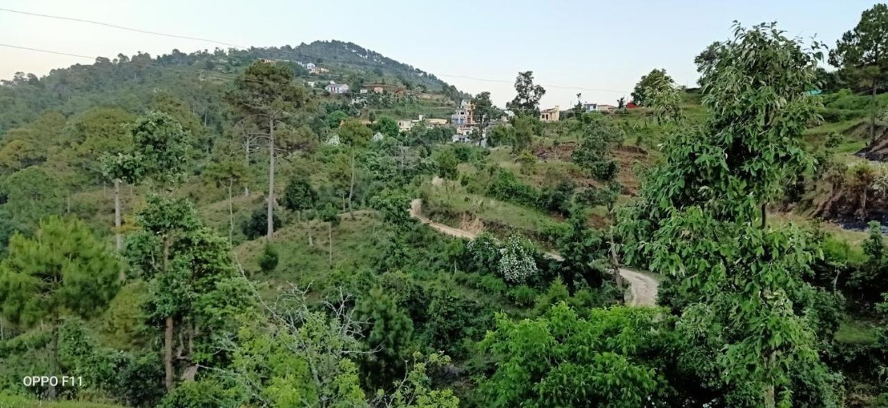 Photo 6