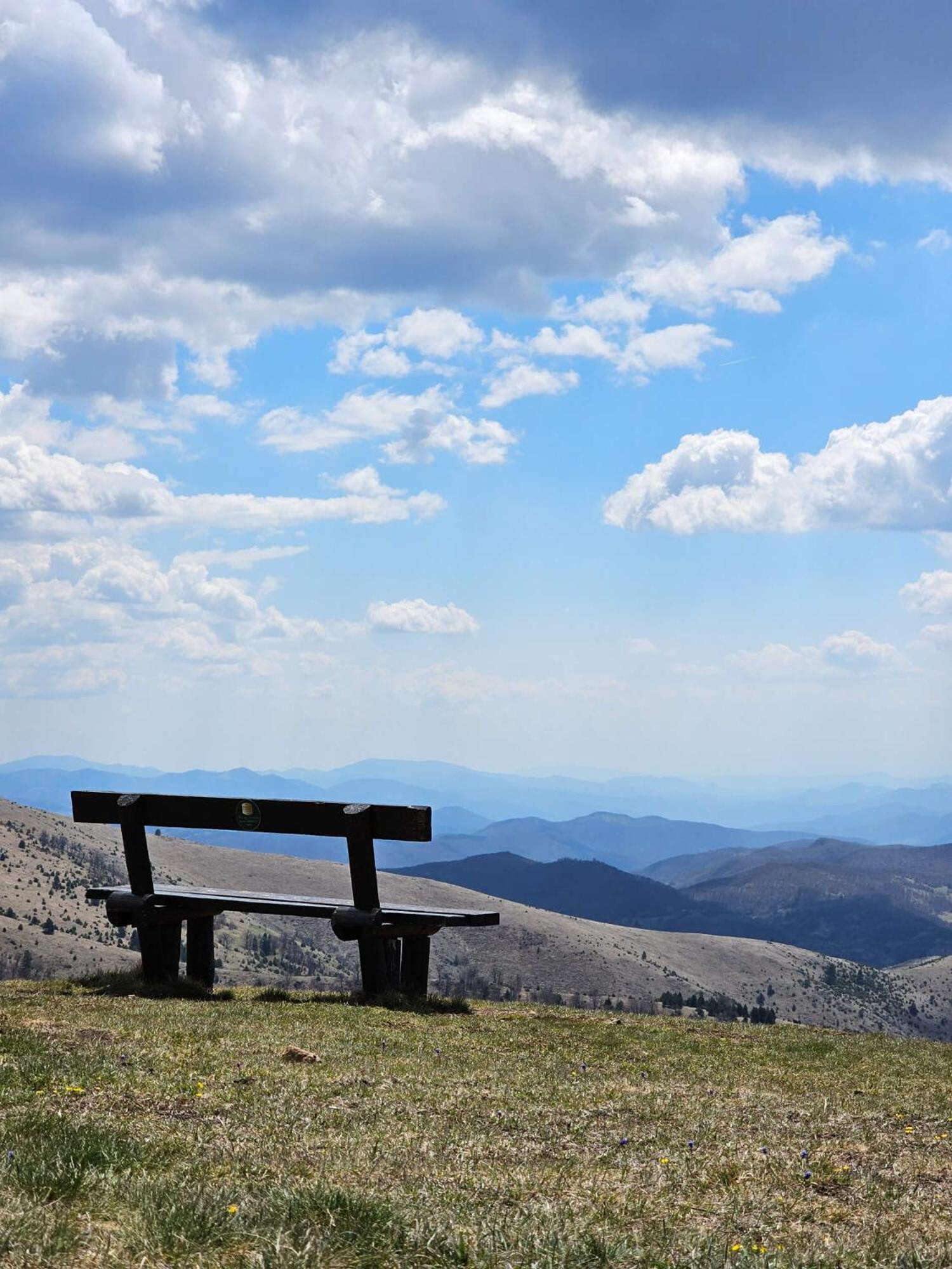 Photo 33