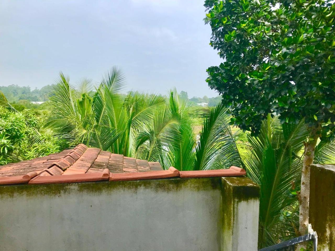 Eco Terrace Homestay