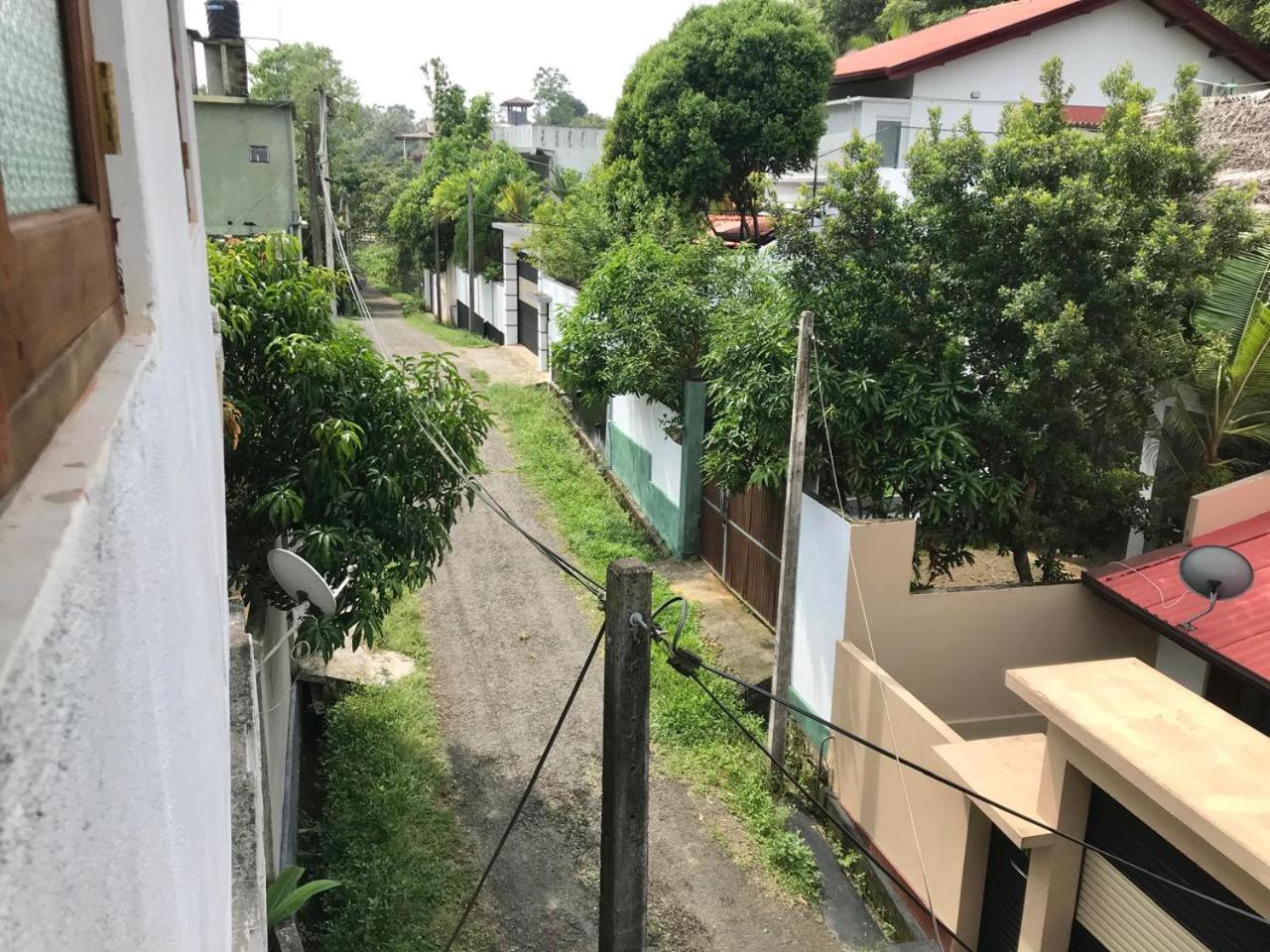 Eco Terrace Homestay