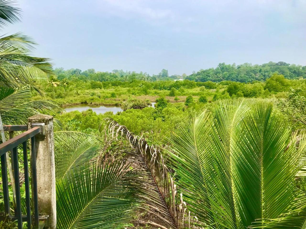 Eco Terrace Homestay