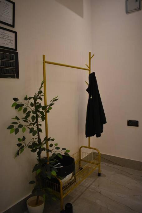Dalma View Studio Apartment view 4