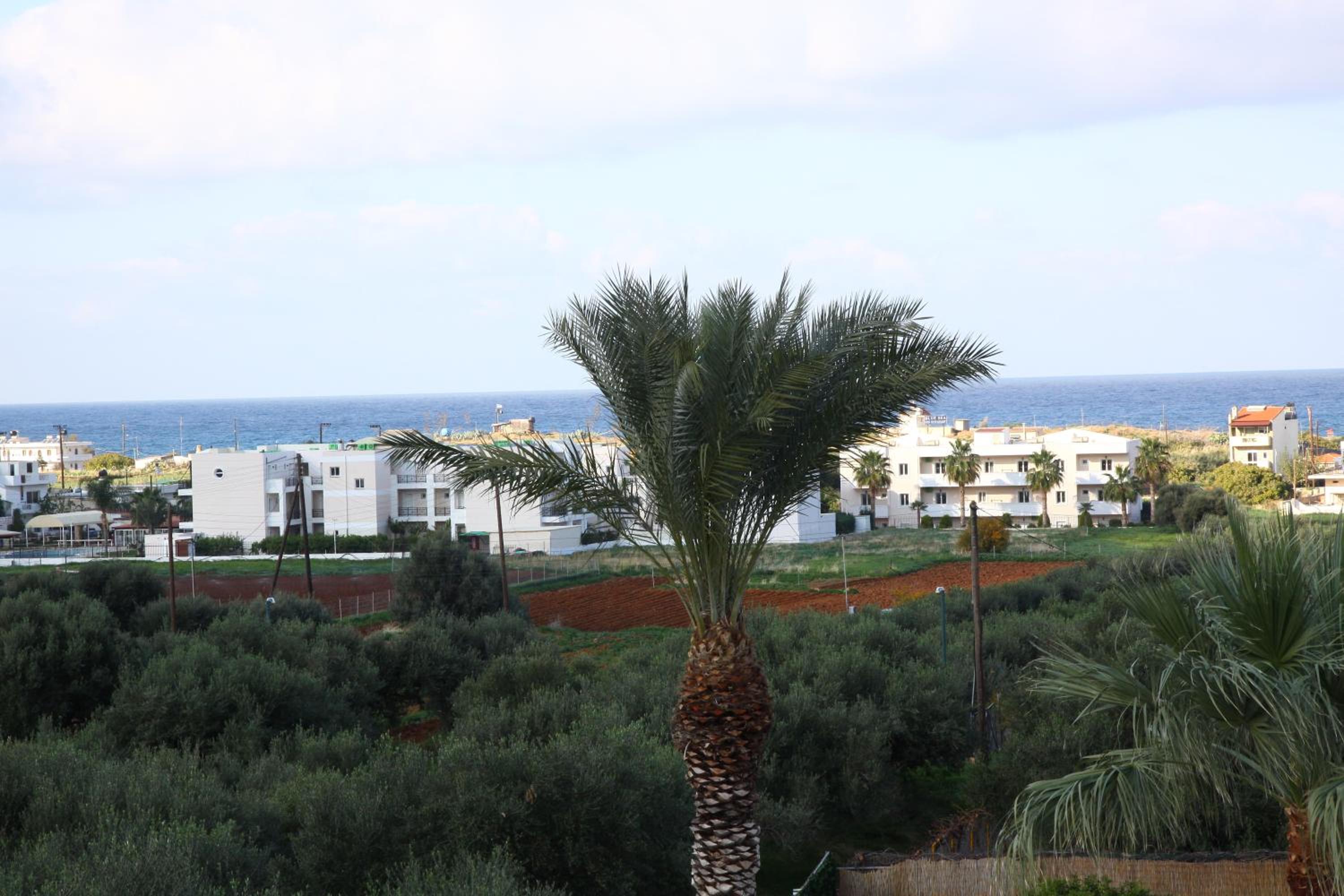 Malia Vacations - Triton Garden Hotel - Property Image 1