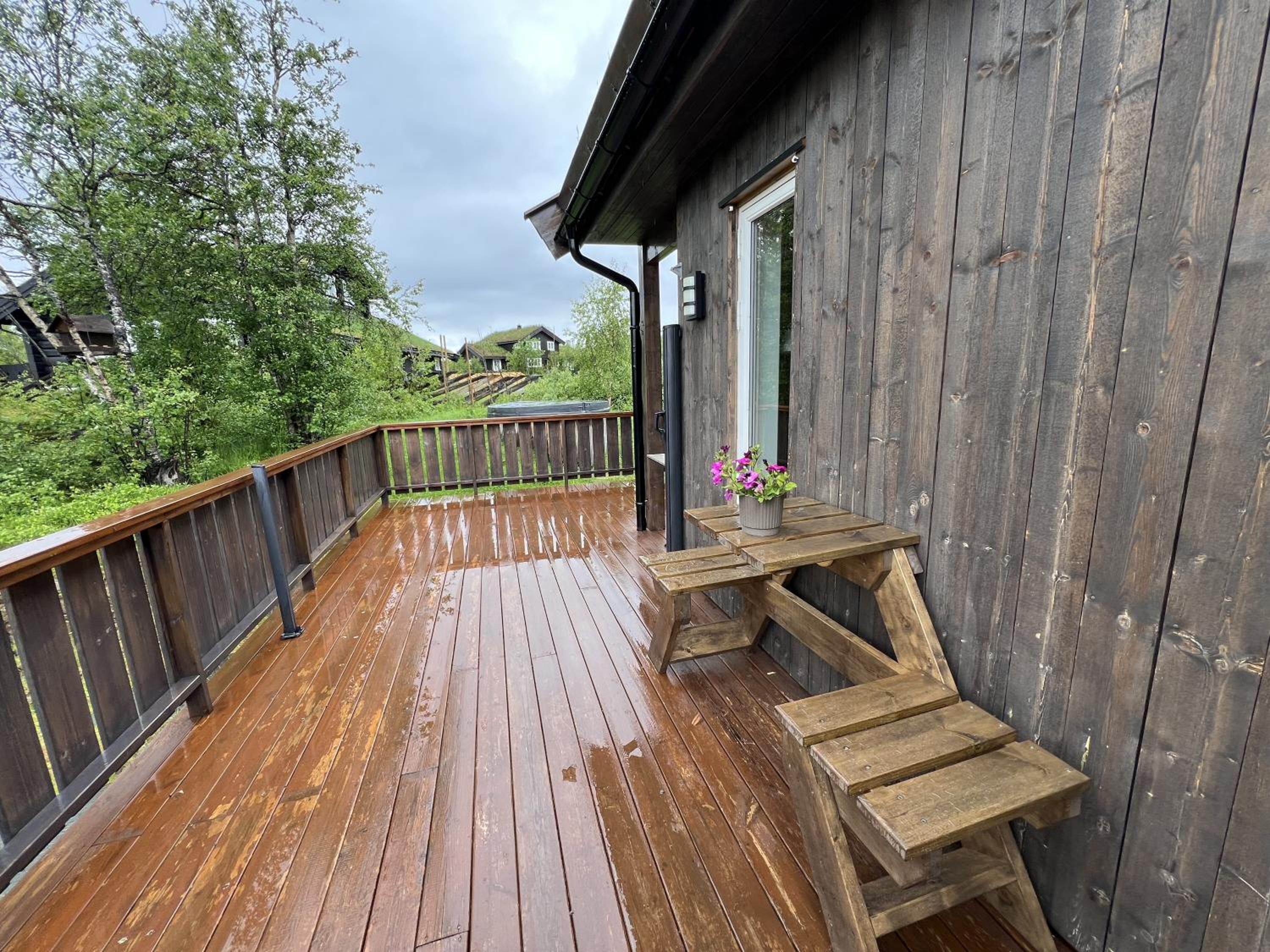New Cozy Cabin by Ski Trails & Nature Paths!
