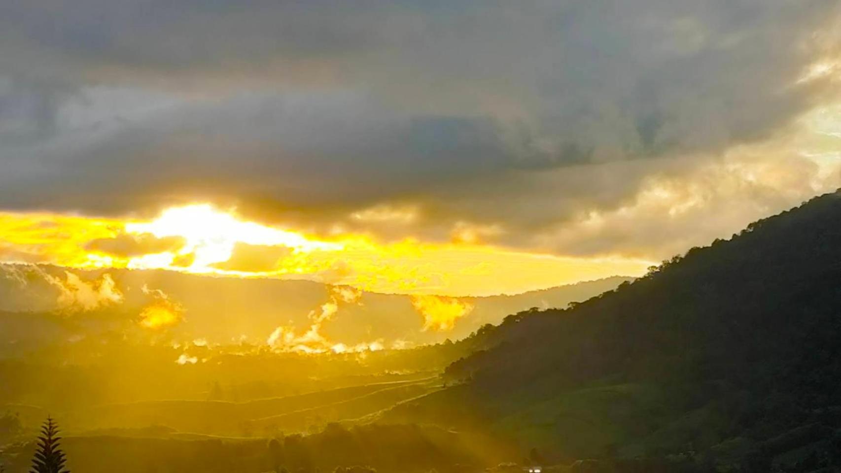 Khao Kho Tree Top