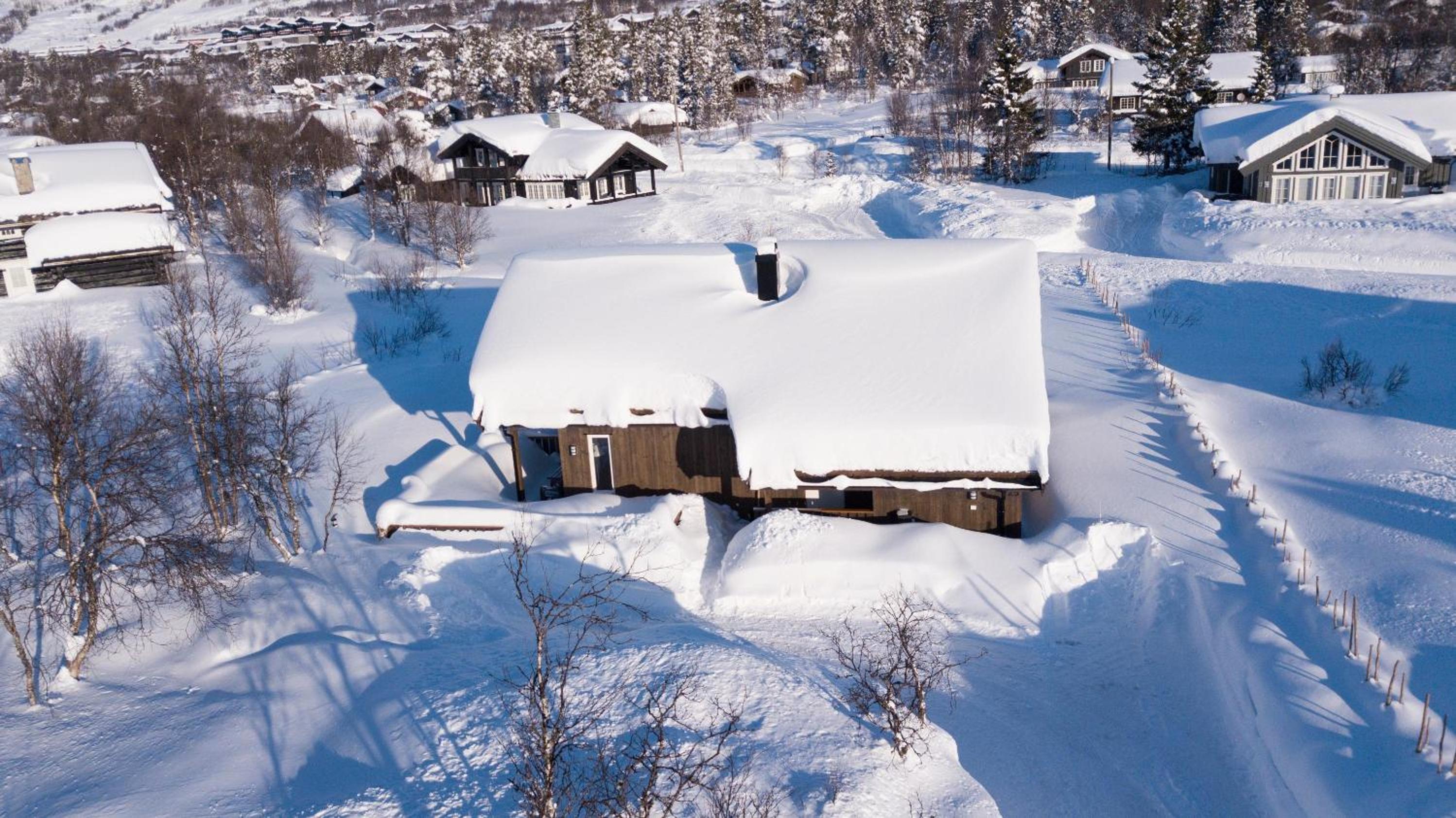 New Cozy Cabin by Ski Trails & Nature Paths!