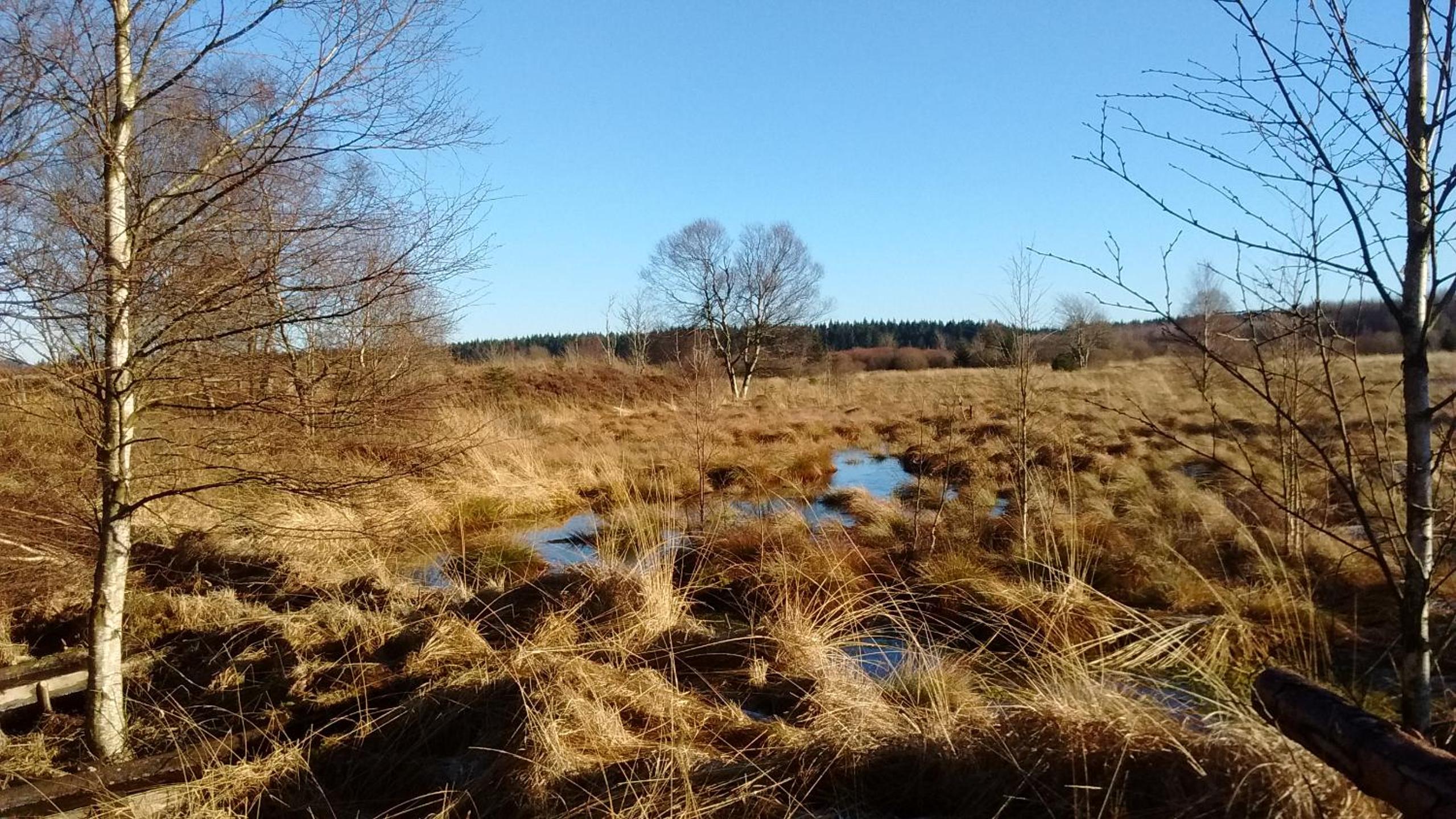 Hallerblick