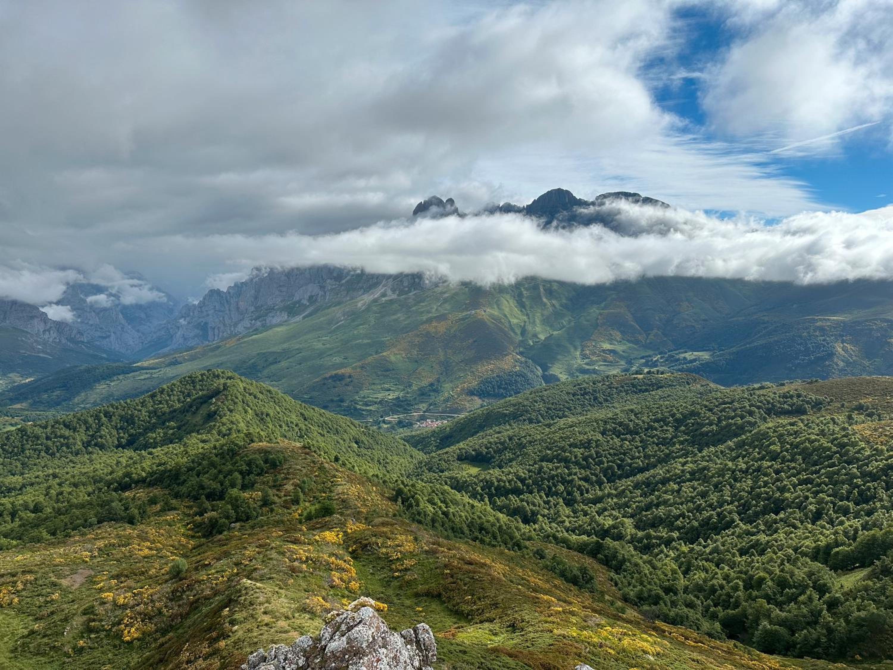 El Serenal