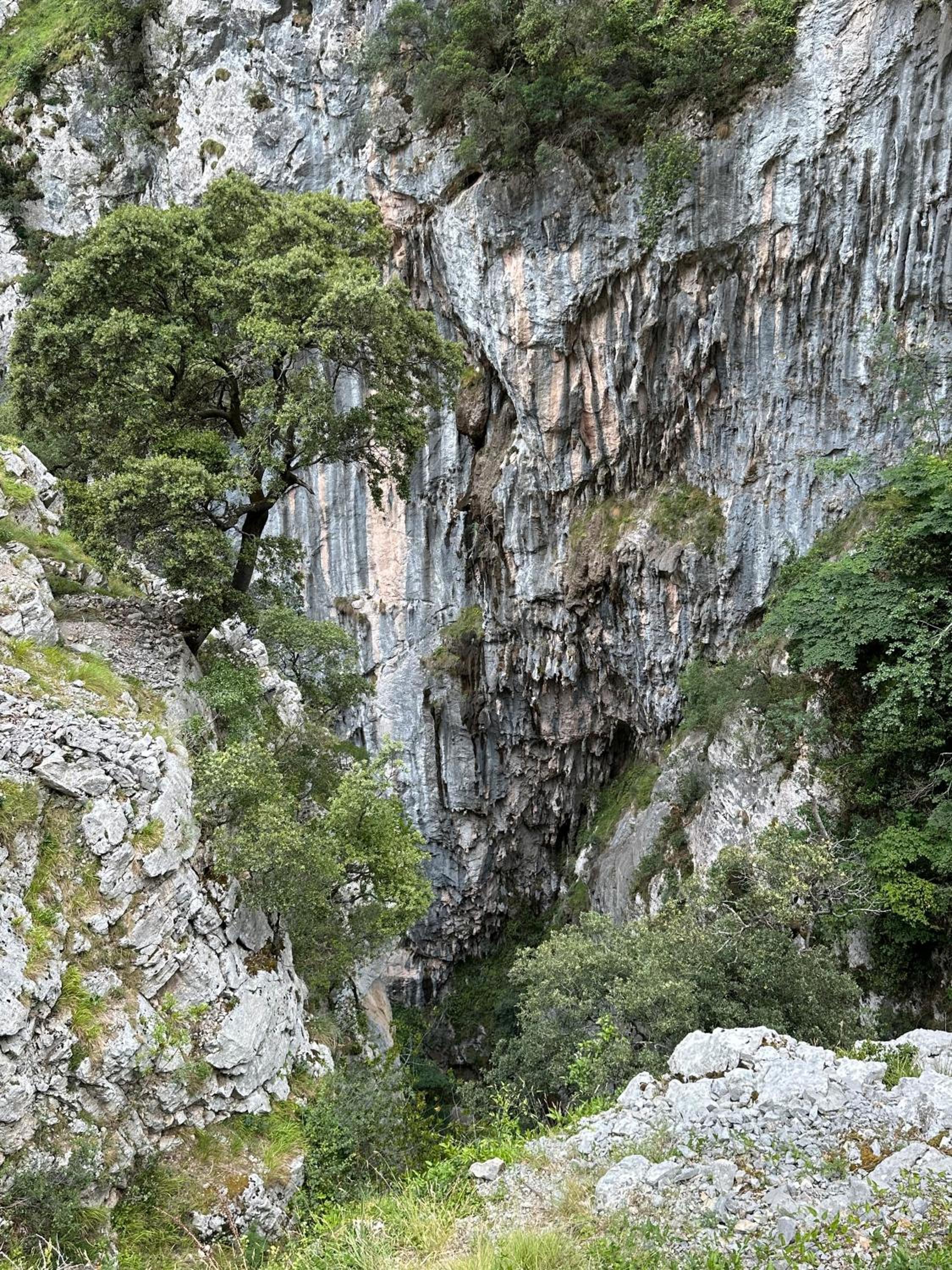 El Serenal