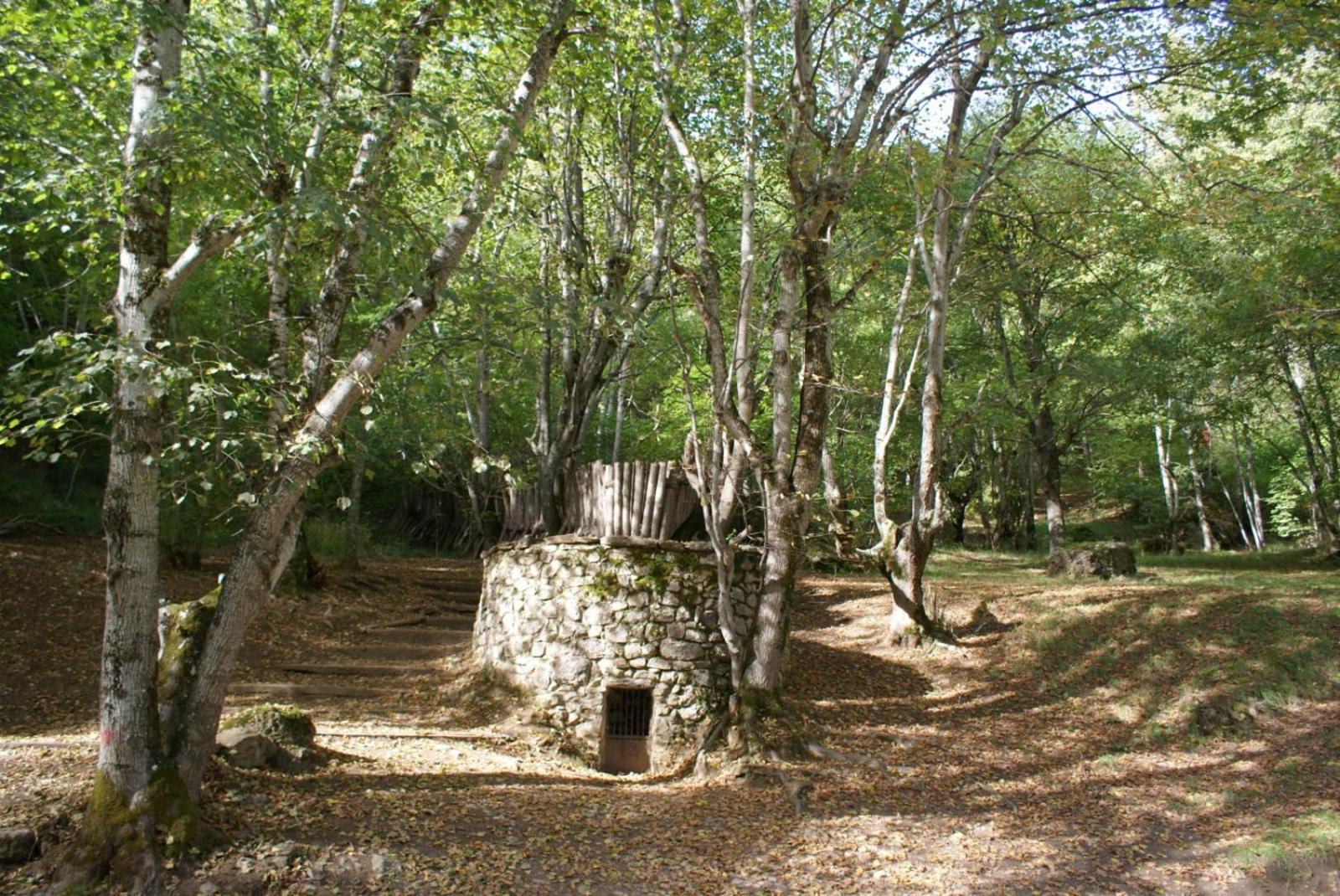 El Serenal