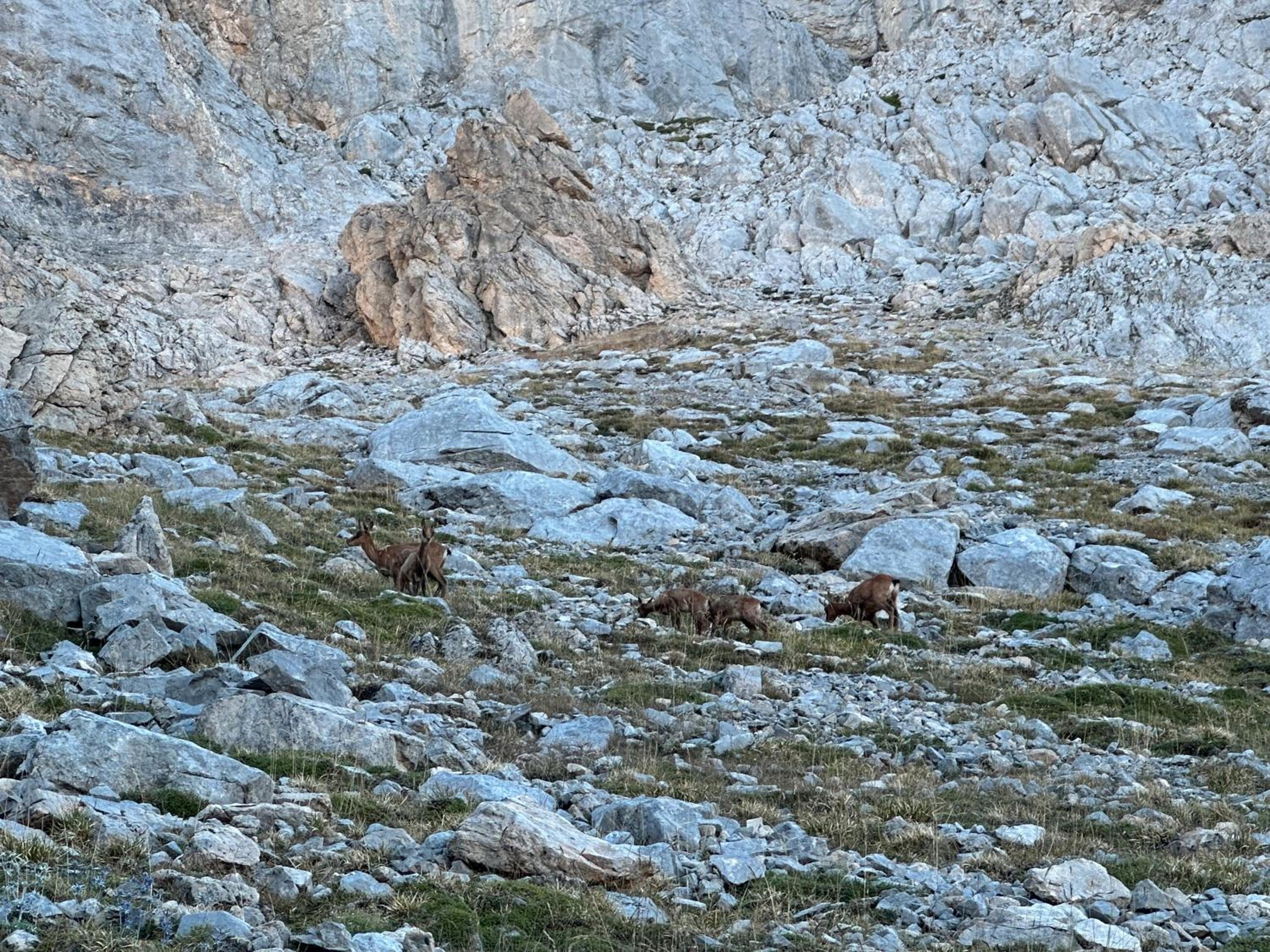 El Serenal