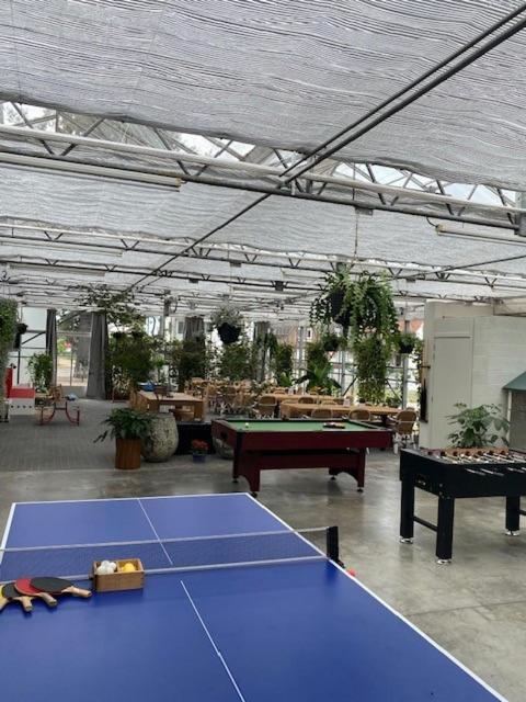 Vakantiewoning Het Wielje Maasland