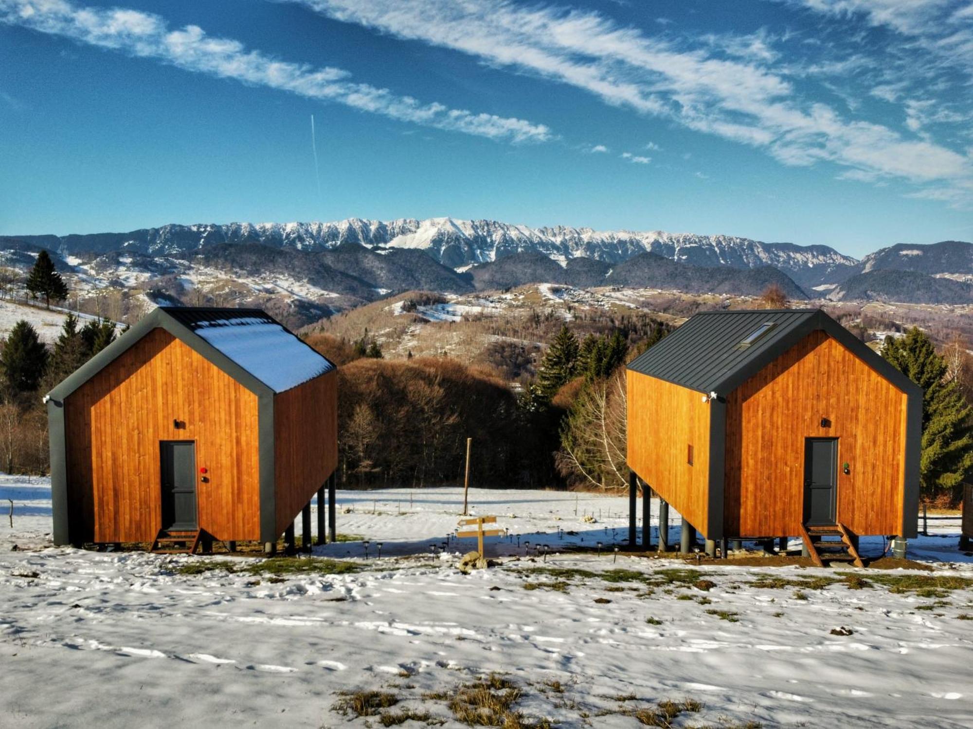 Suspended Tiny House