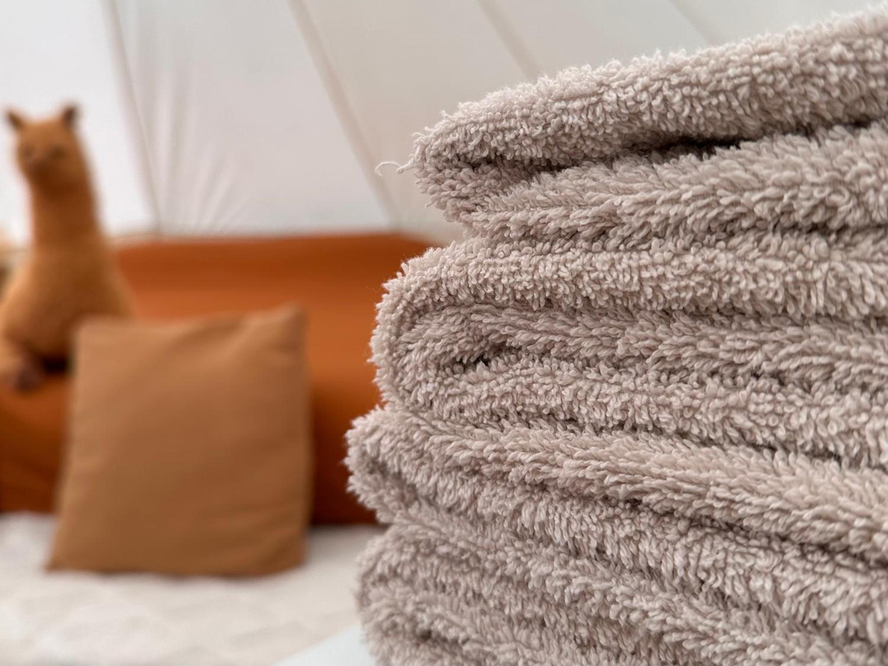 Privé Alpaca Glamping Hoogstraten