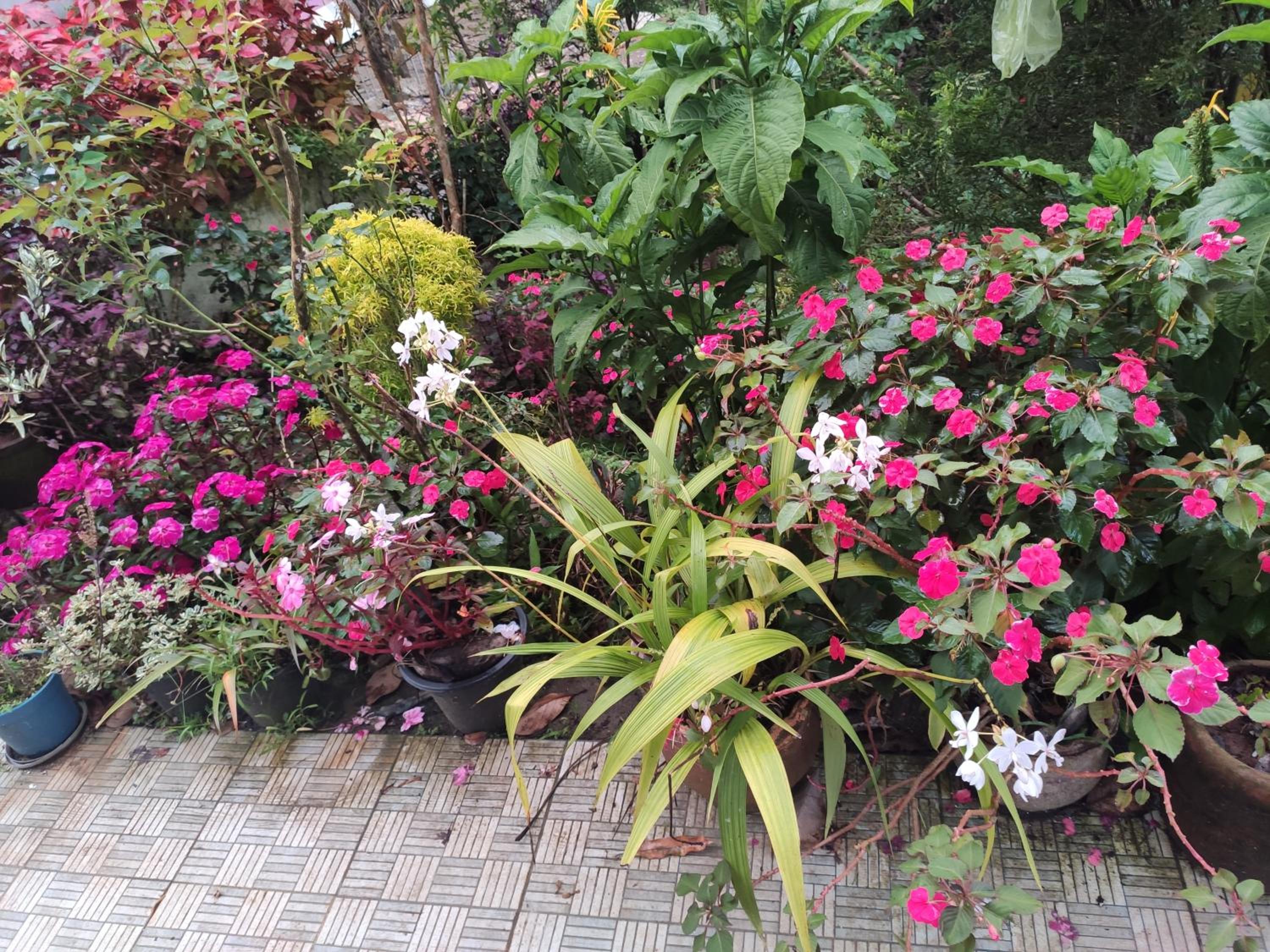 Photo 6