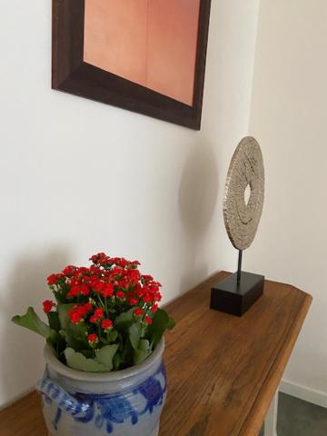 Vakantiewoning Het Wielje Maasland