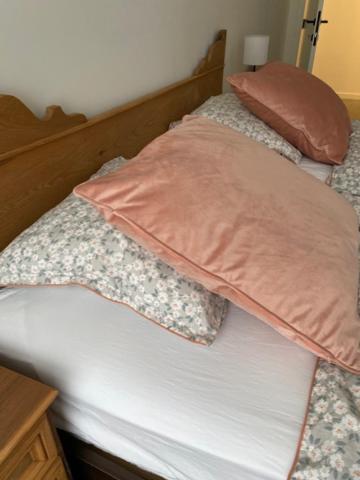 Vakantiewoning Het Wielje Maasland