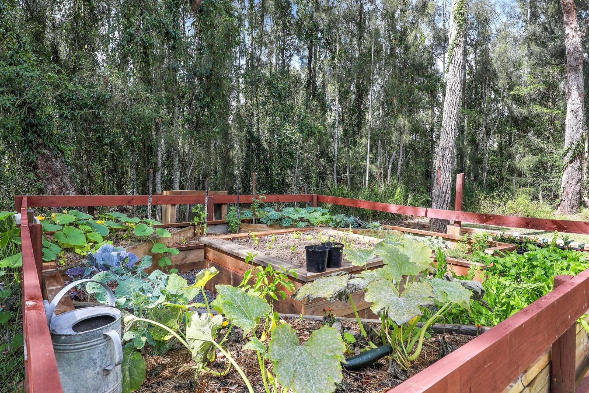 The Treehouse - Pet Friendly home in Jervis Bay!