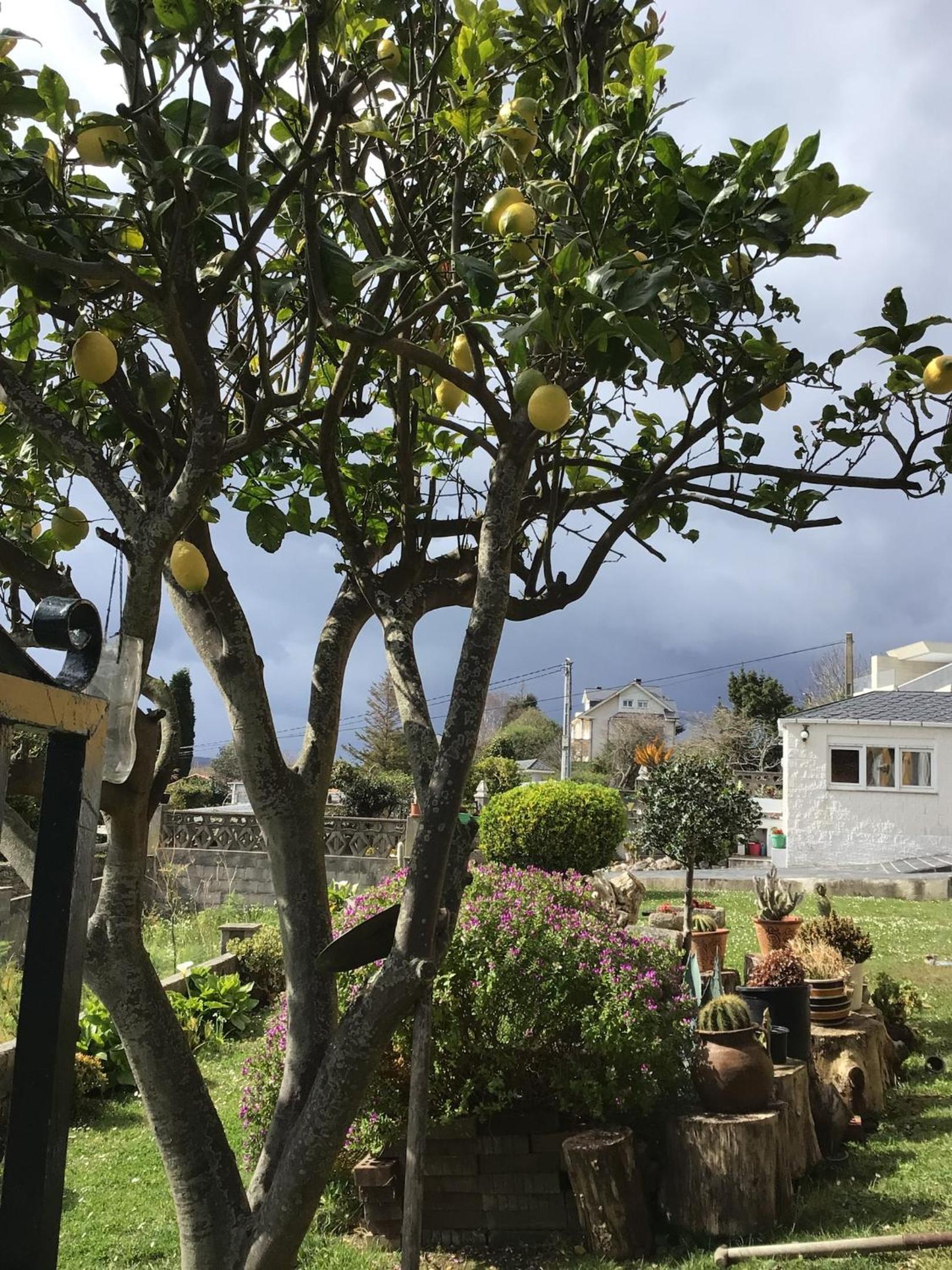Spacious Apartment in Viveiro with Sea View
