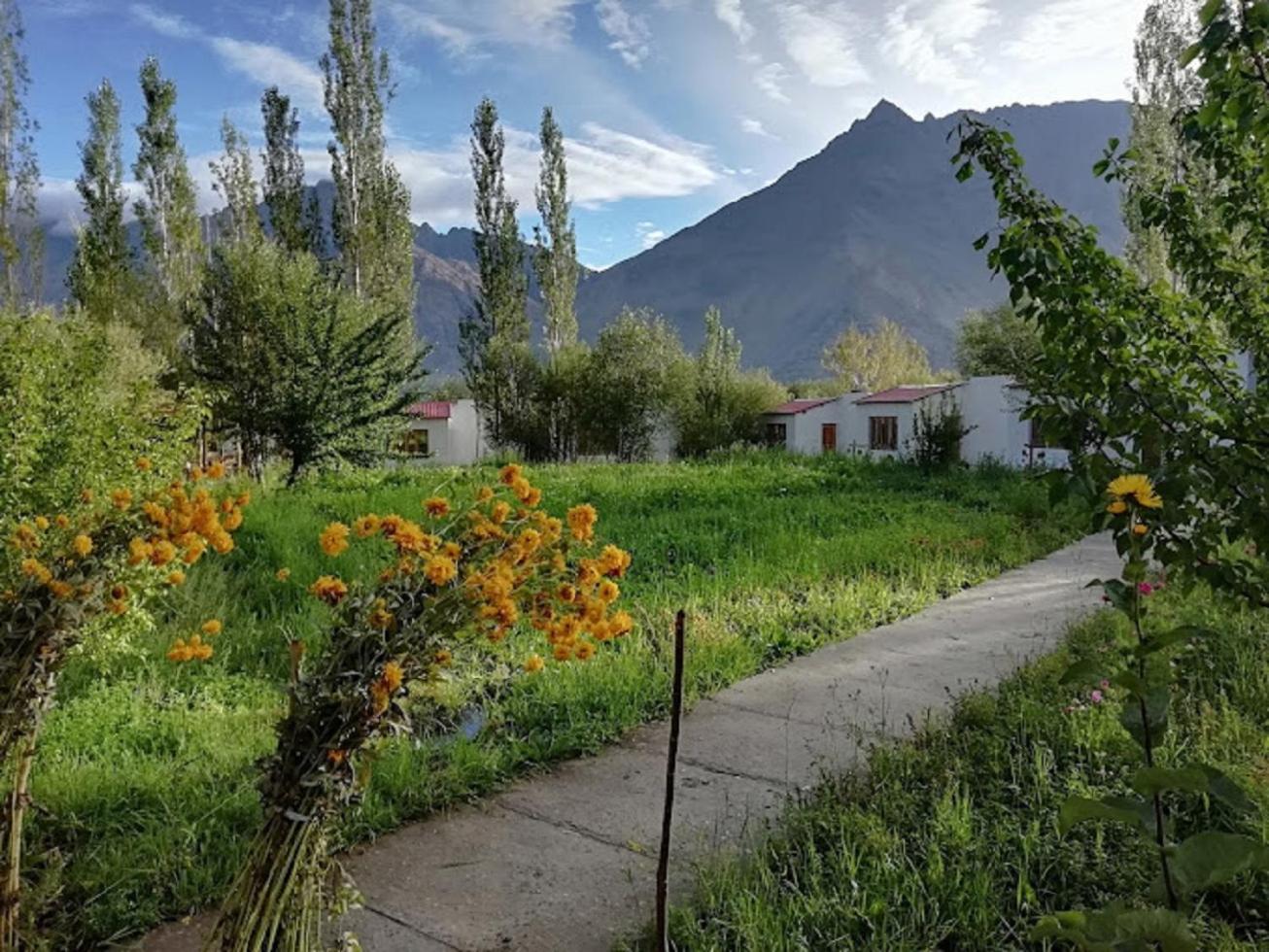 Wachan Guest House Hunder, Nubra Valley