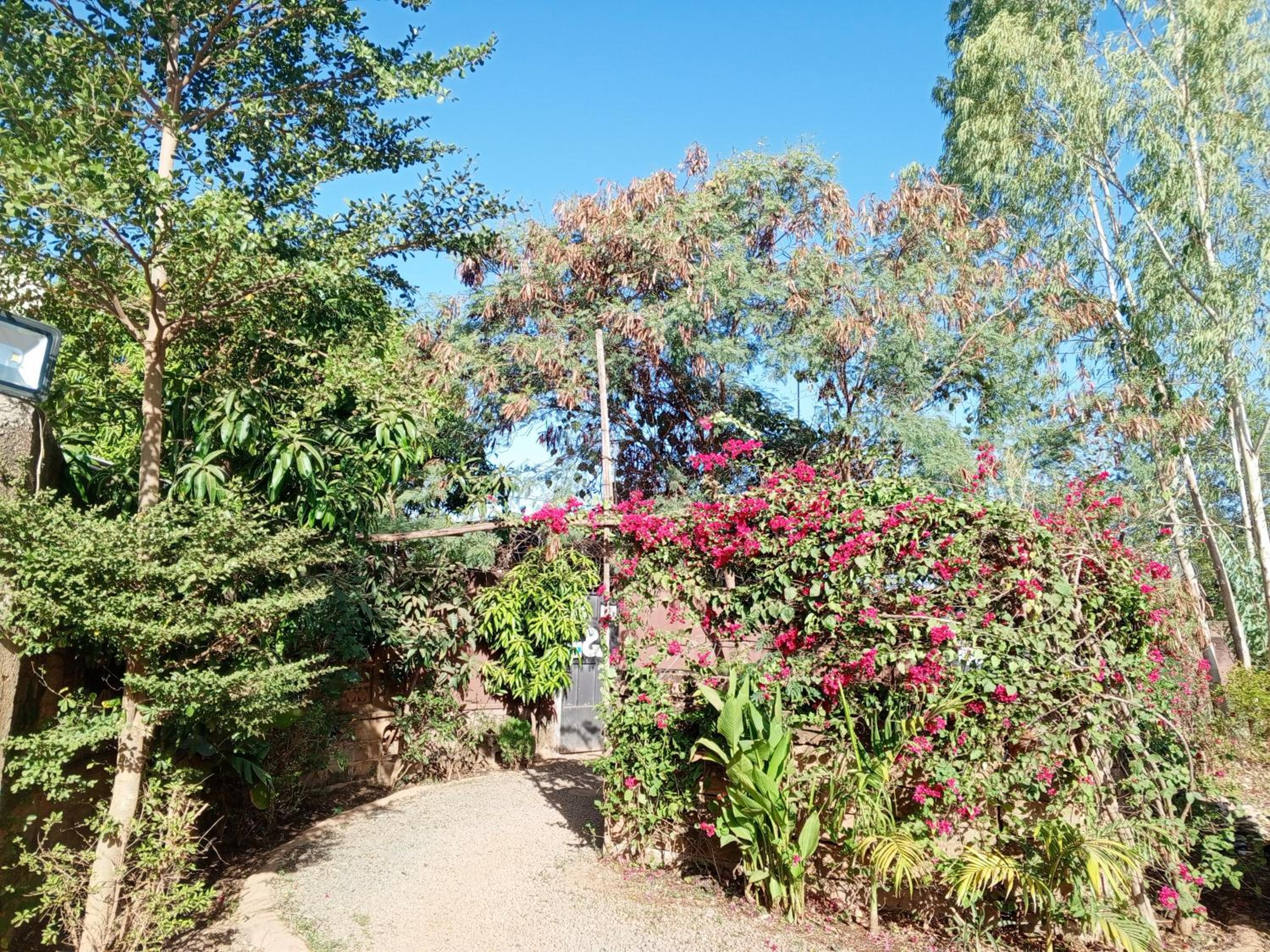 La CASA - Guesthouse
