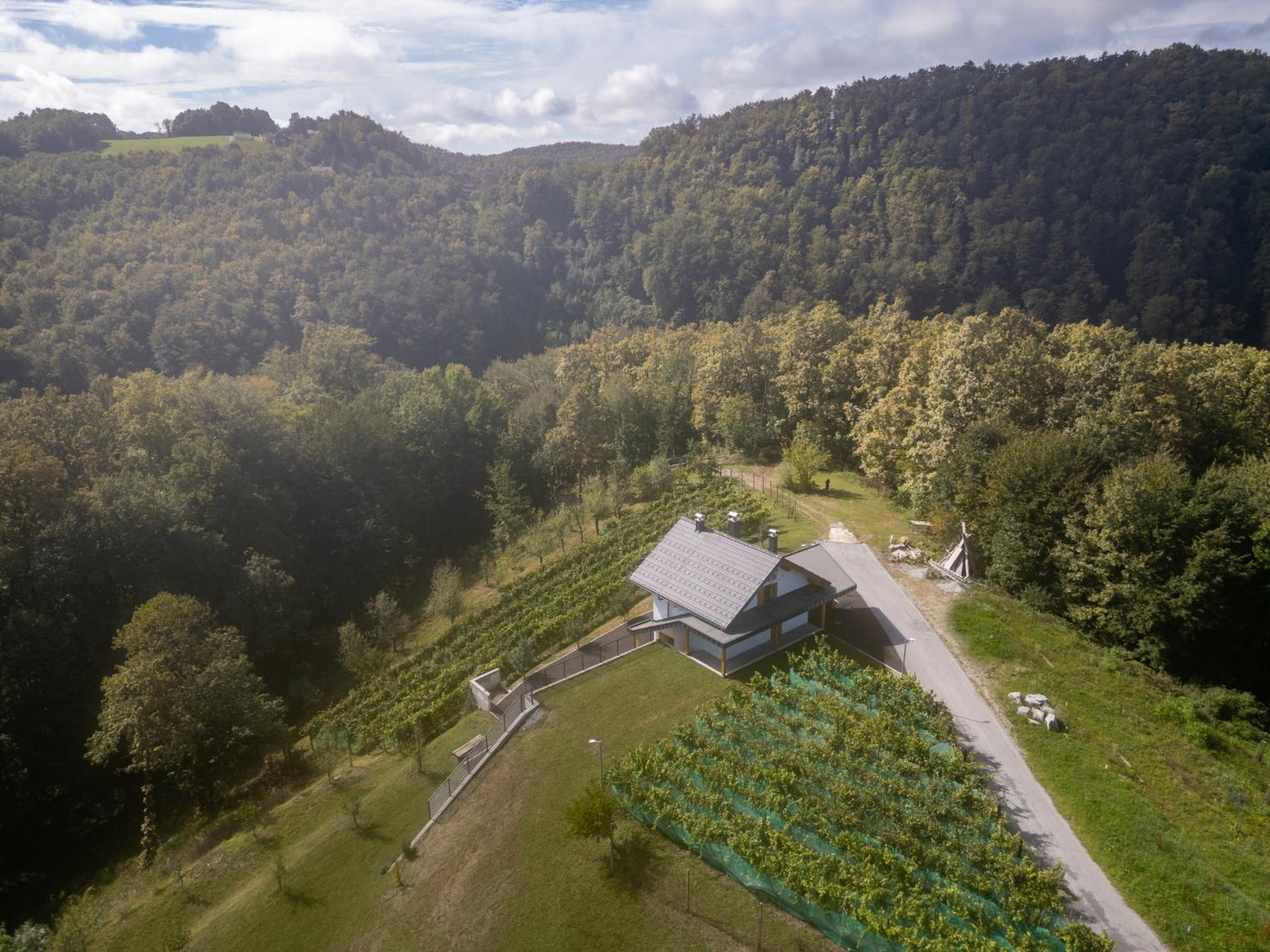 Zidanica sredi dolenjskih gričev - V gaj view 2