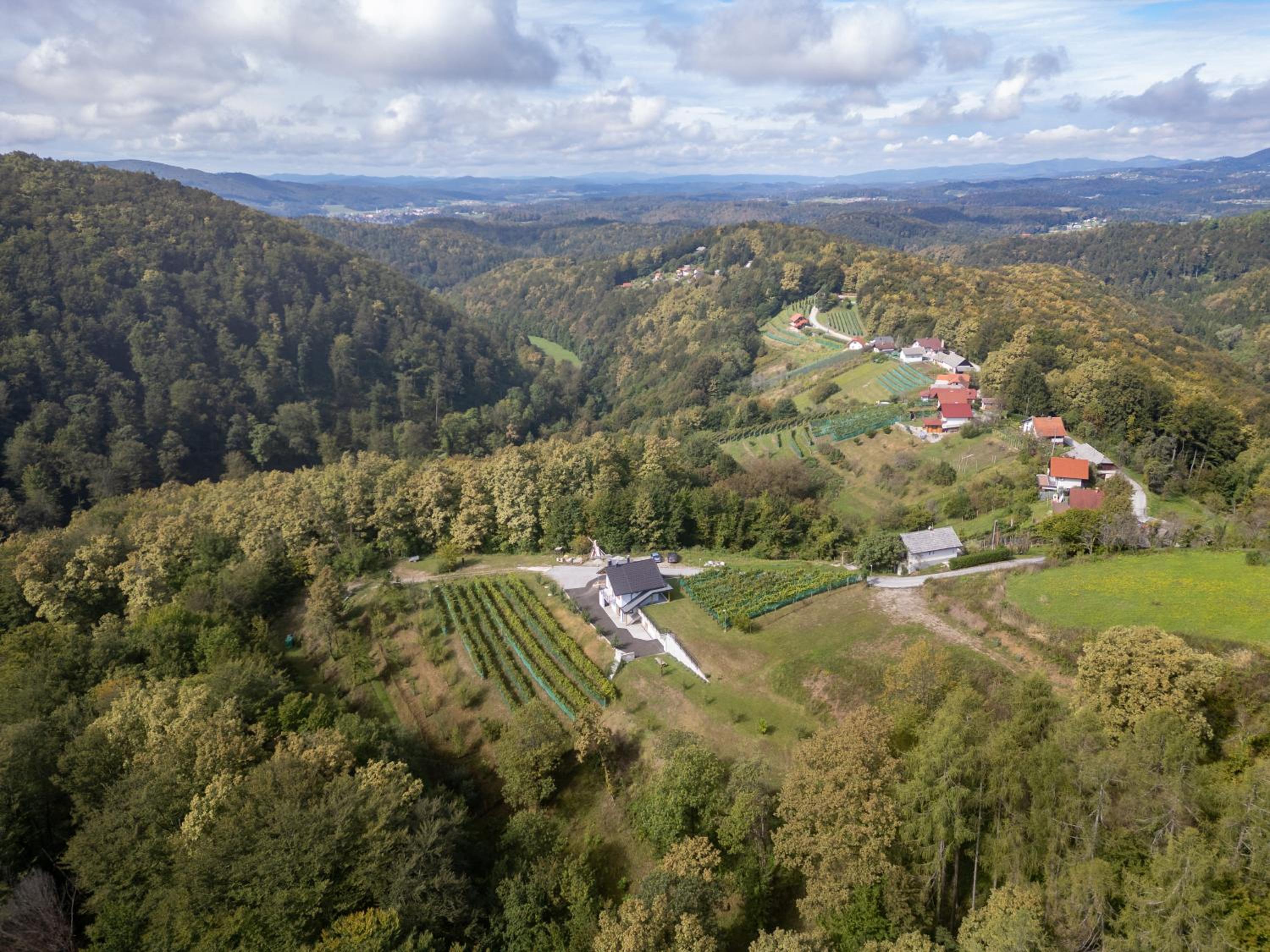Zidanica sredi dolenjskih gričev - V gaj view 3
