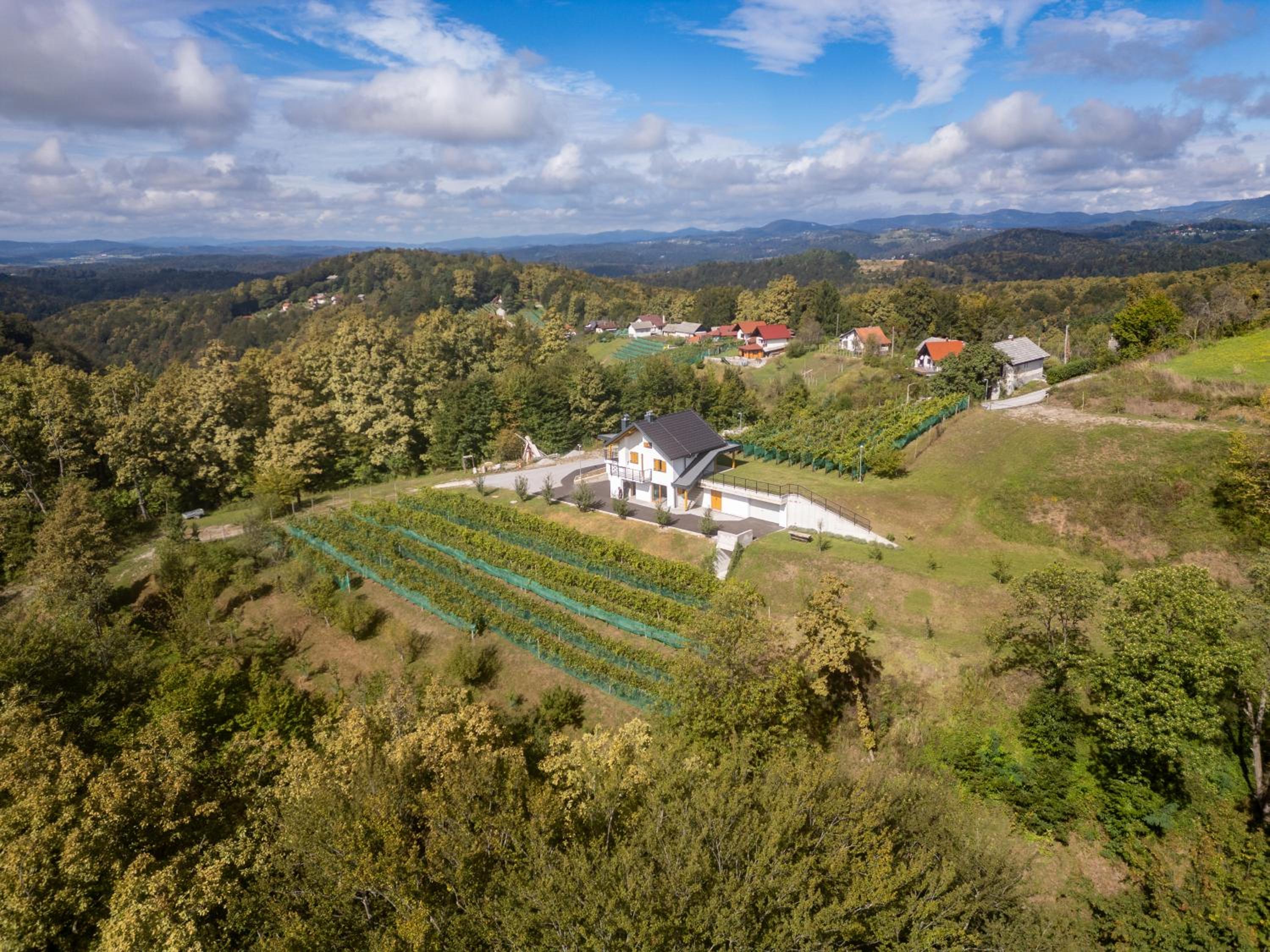 Zidanica sredi dolenjskih gričev - V gaj view 4