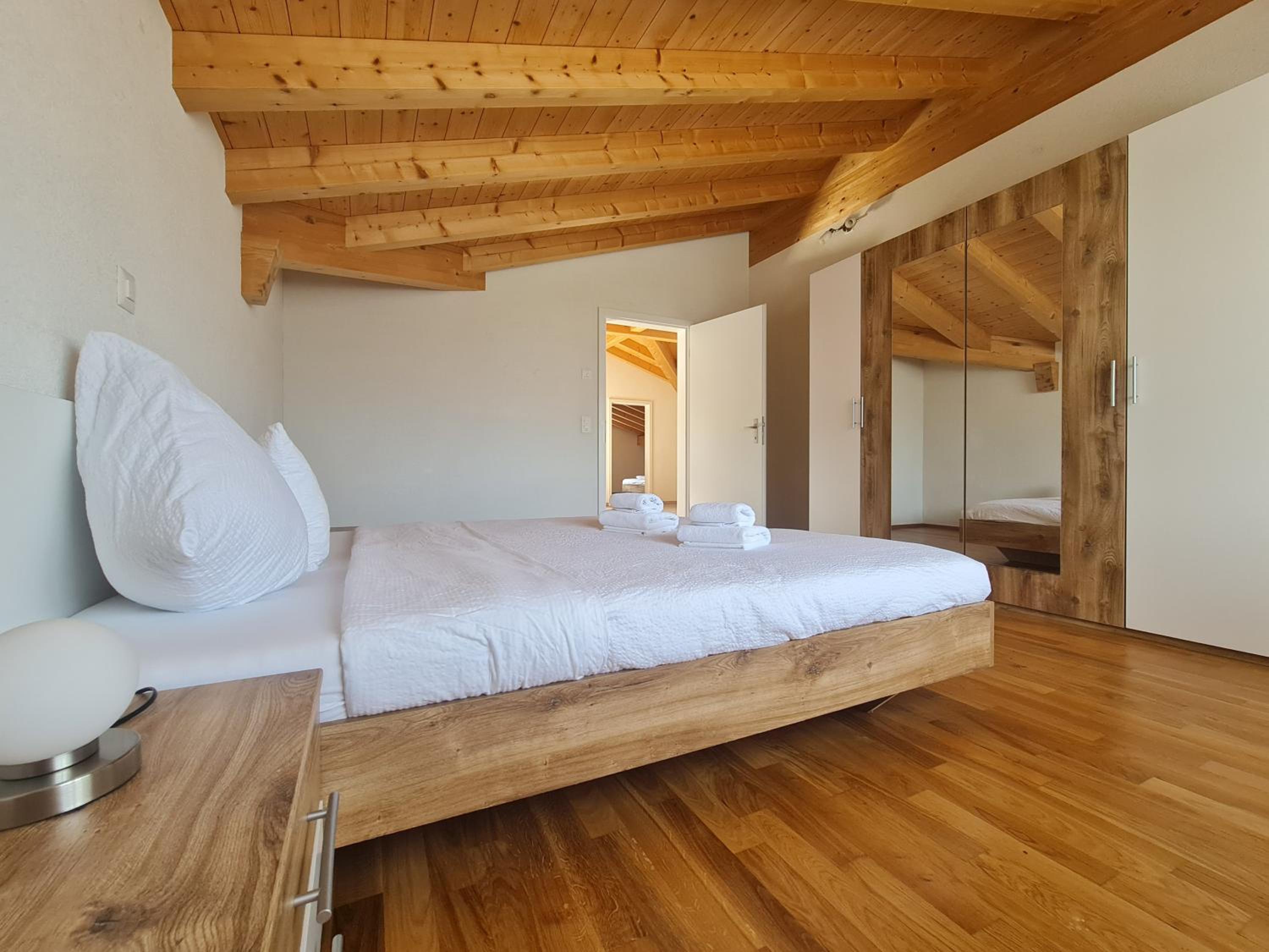 Jungfrau Penthouse - Aare Jungfrau AG view 4