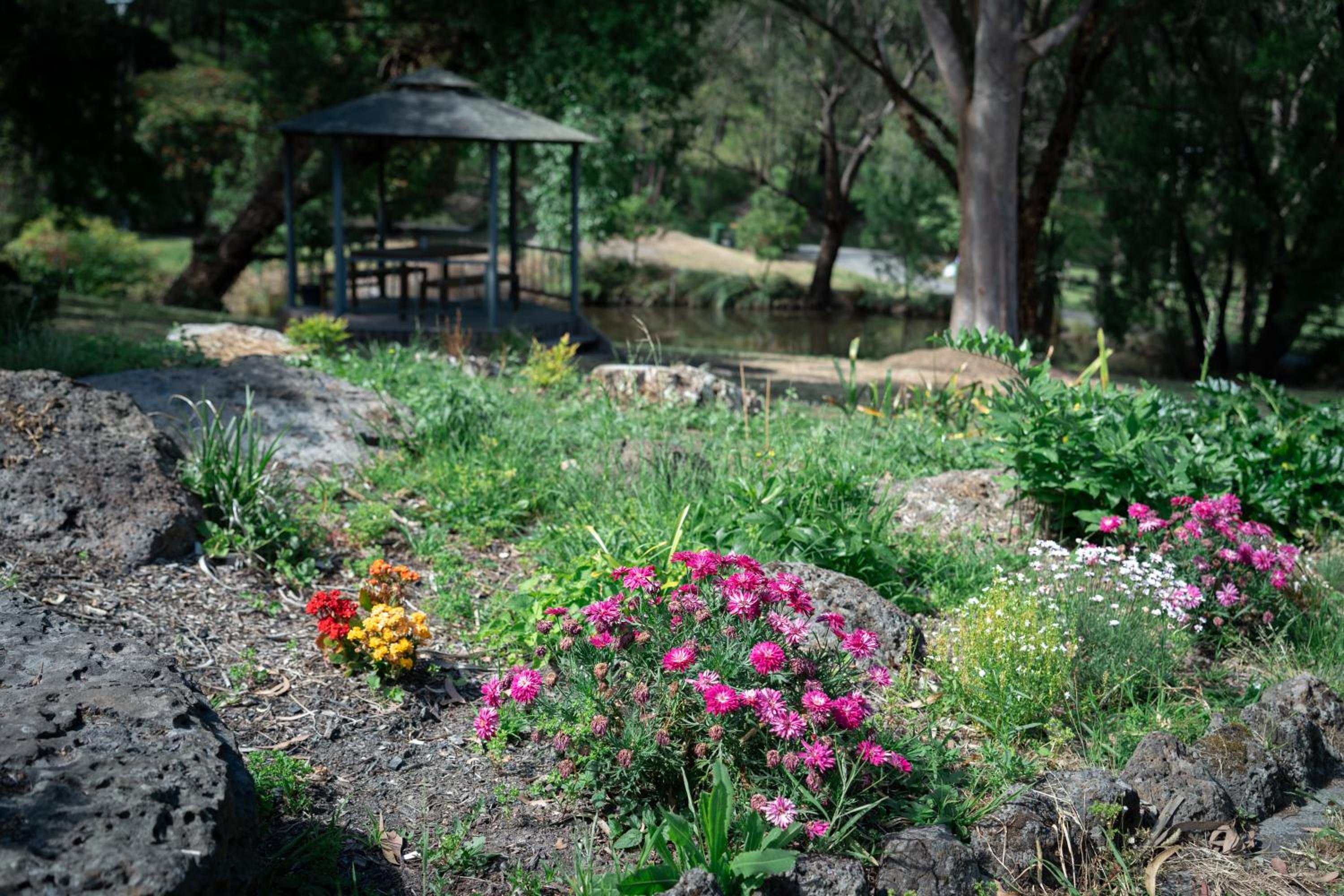 Montrose Manor of Healing