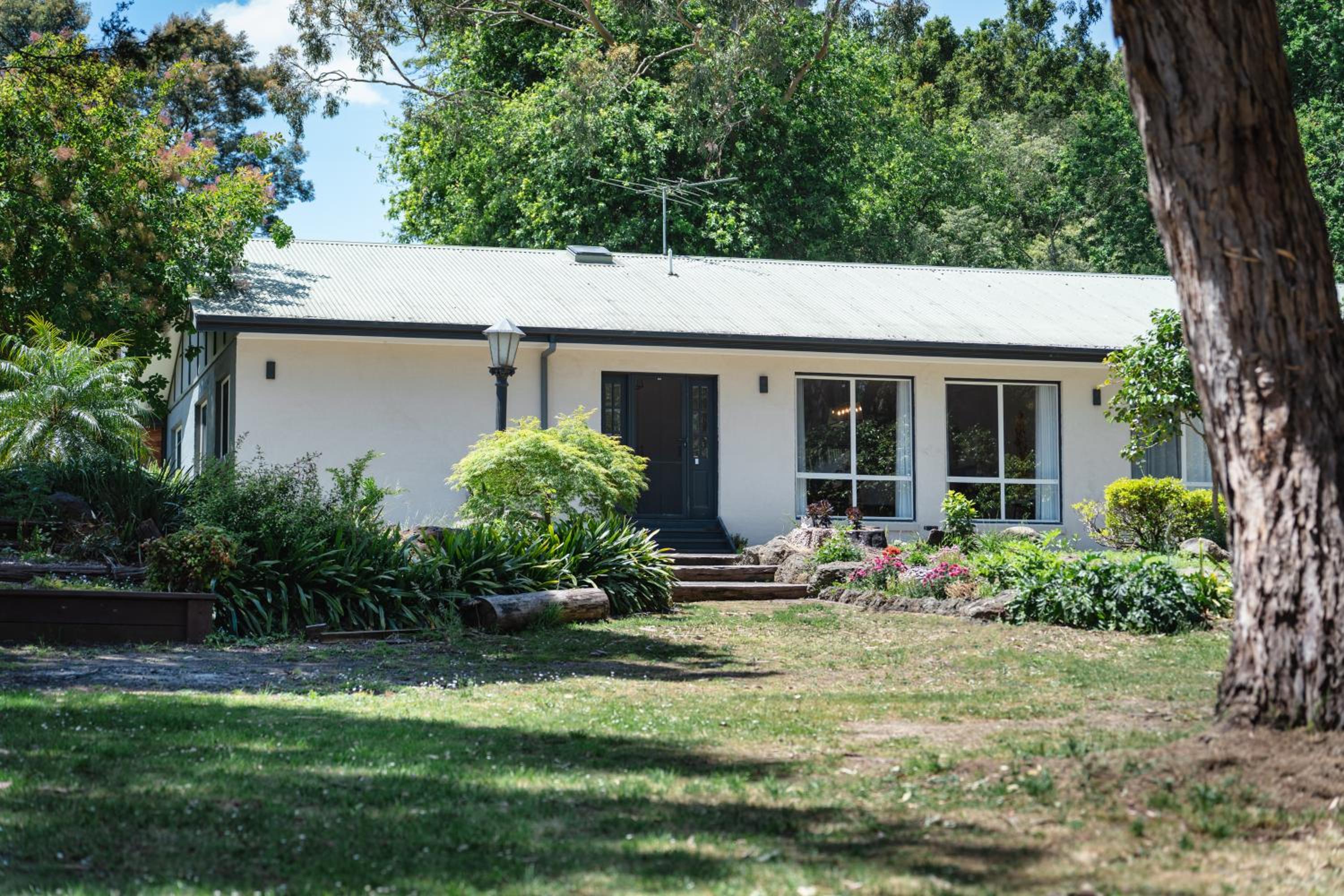 Montrose Manor of Healing