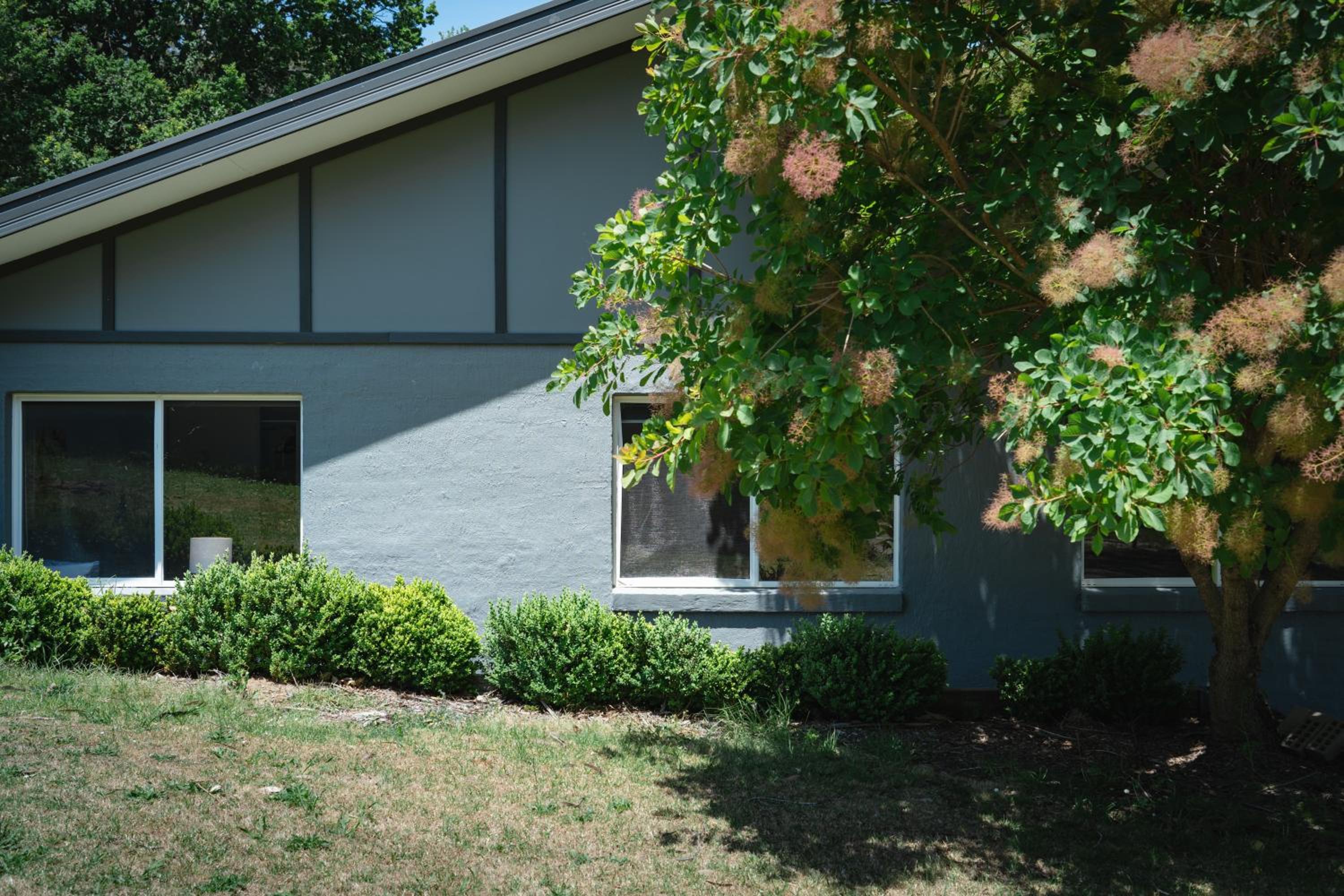 Montrose Manor of Healing