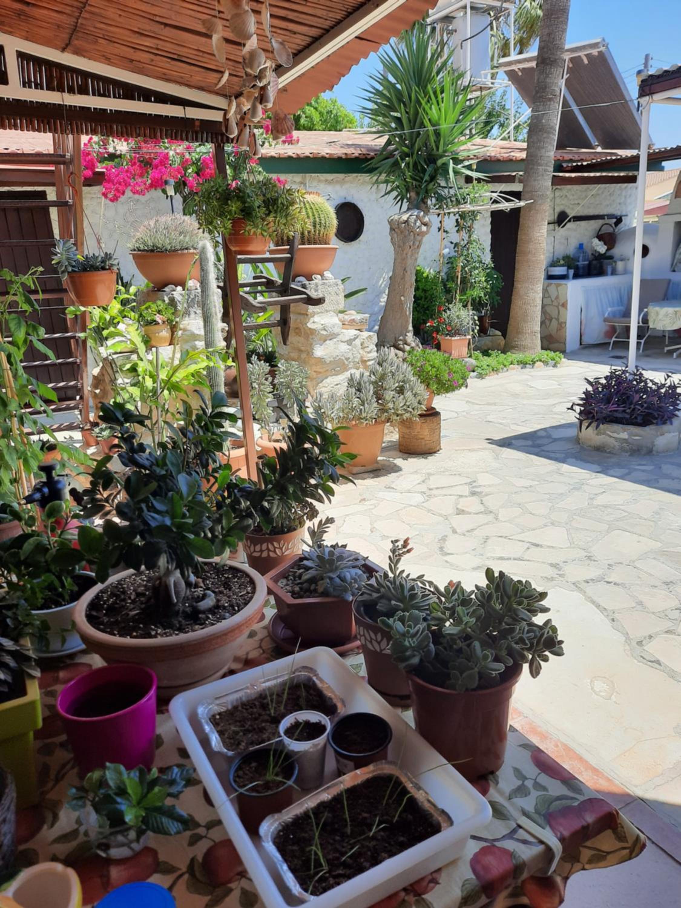Double Room with a garden view