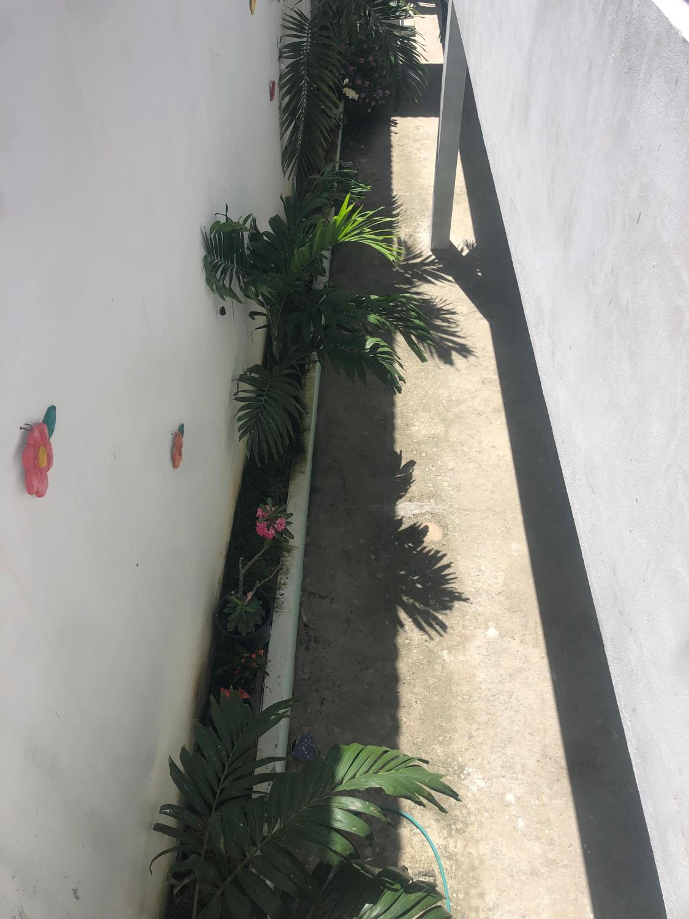 MACLEJU Flats e Residence