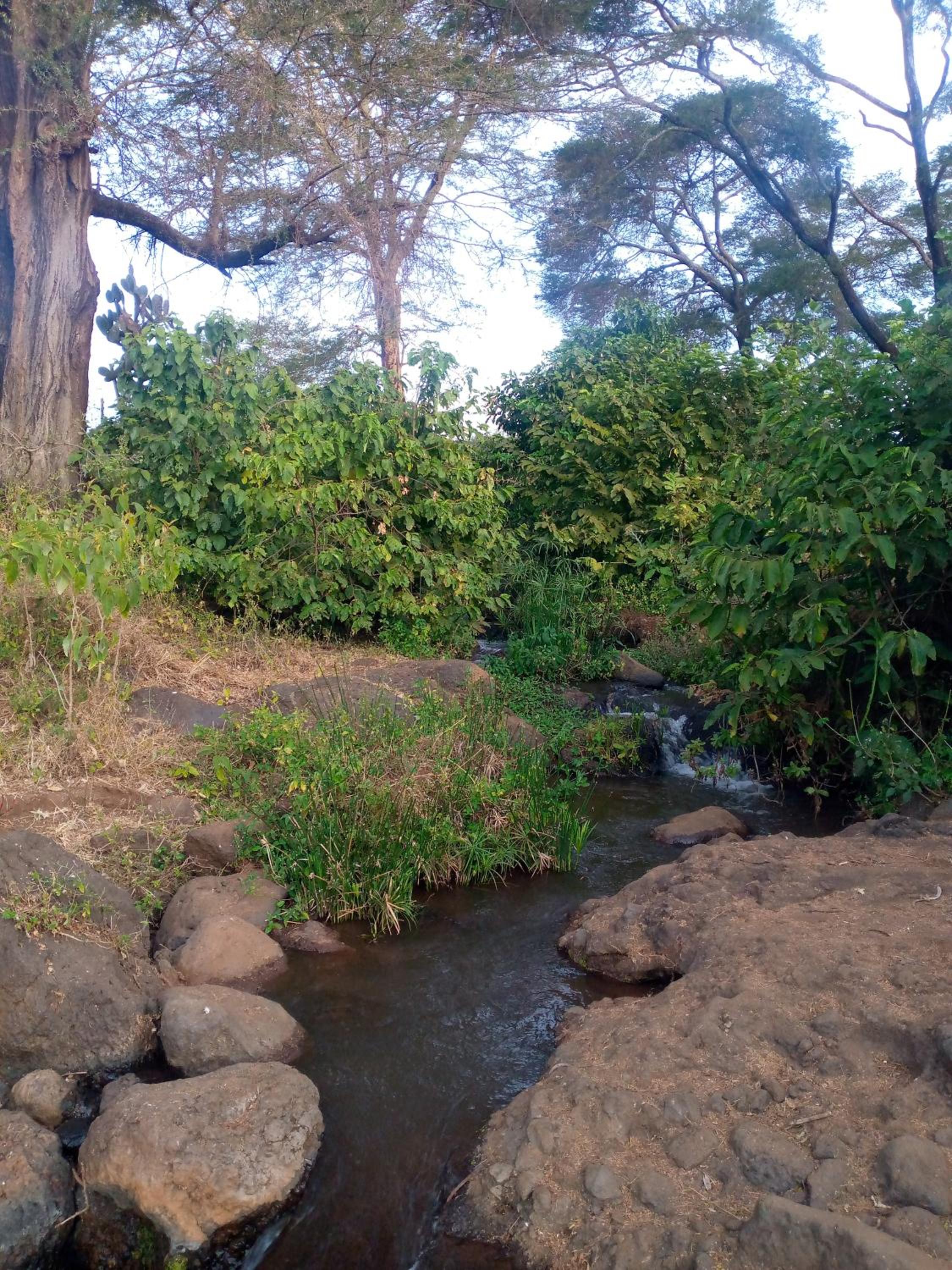 Riverine Cabin's view 3