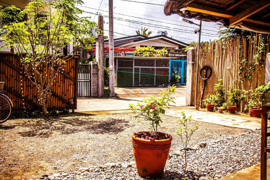 Duon Baler - Seconds from Sabang beach, your peaceful escape