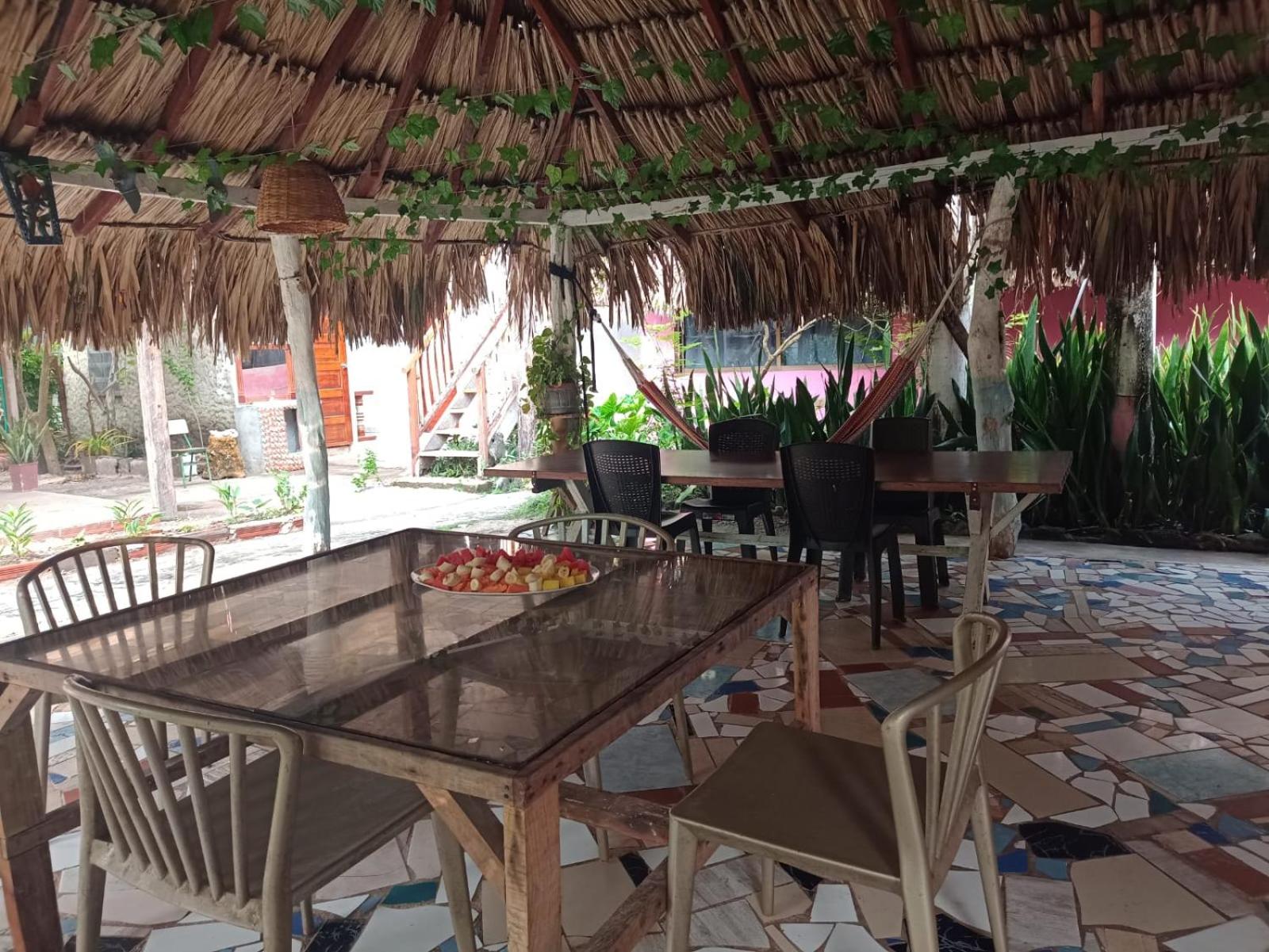 ECOHOTEL LAS FLORES Econativo view 2