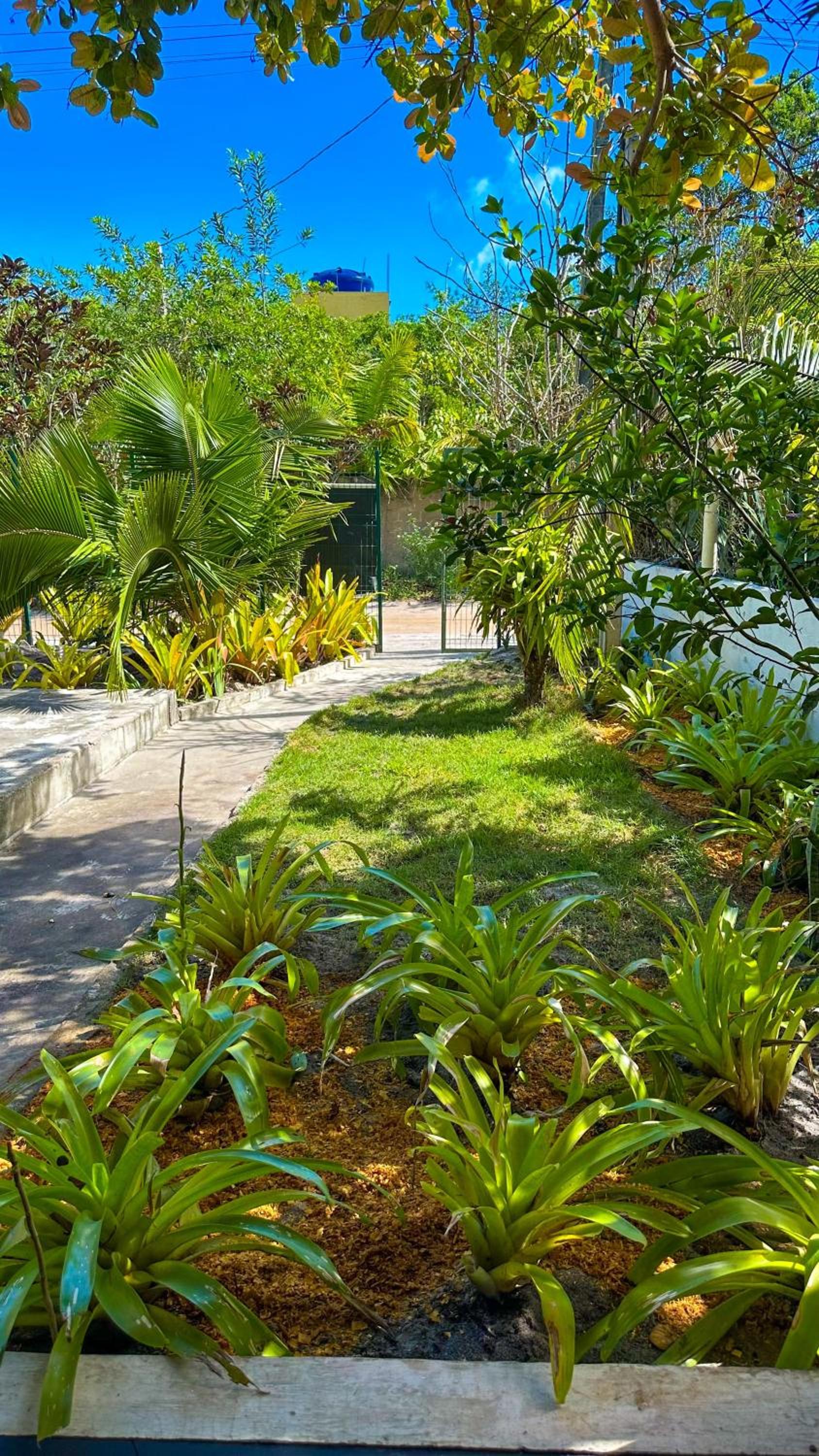 Casa do Netuno