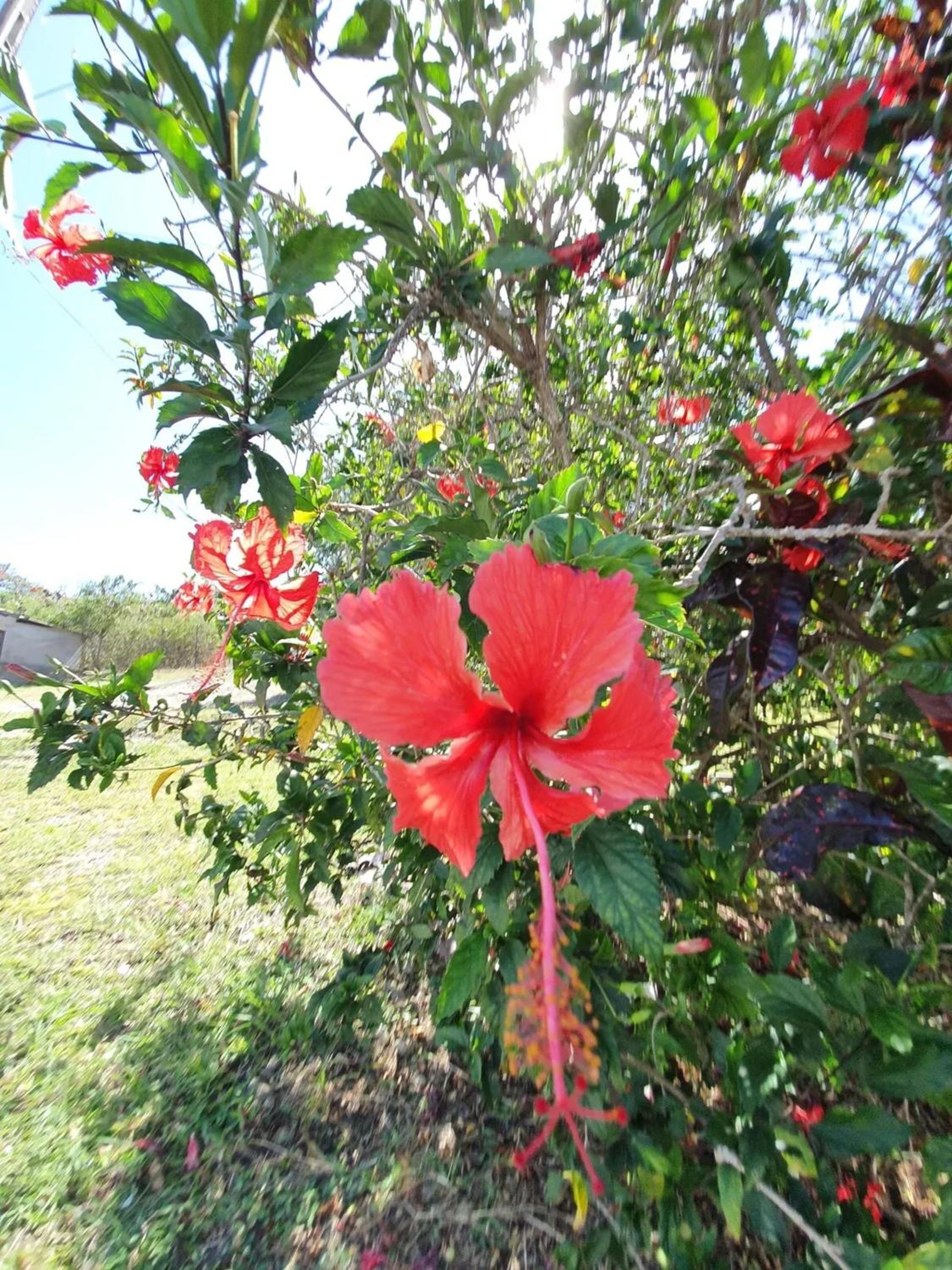 Photo 15