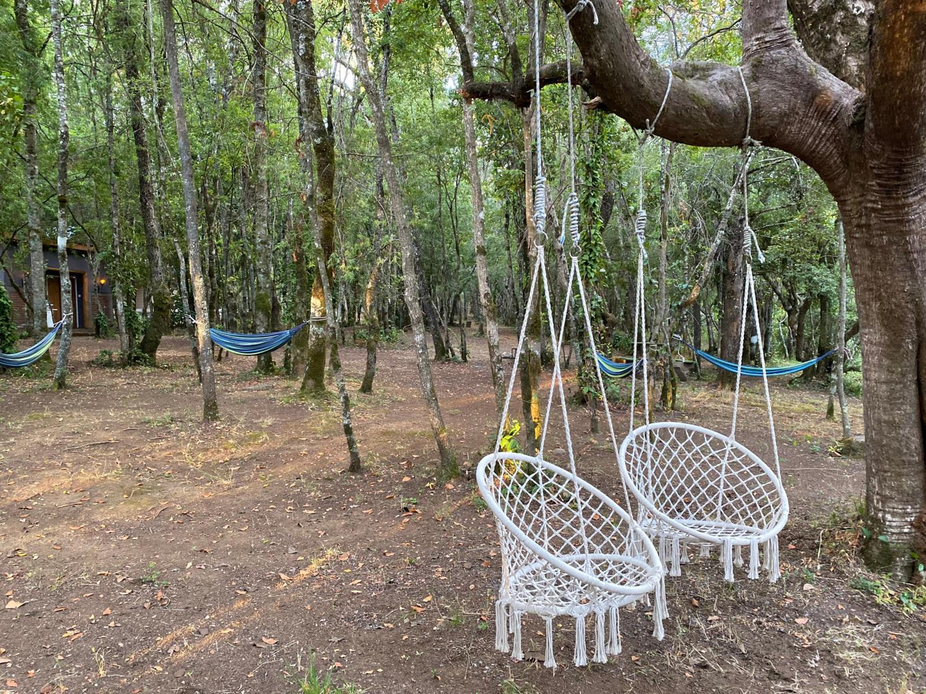 Cabaña exclusiva