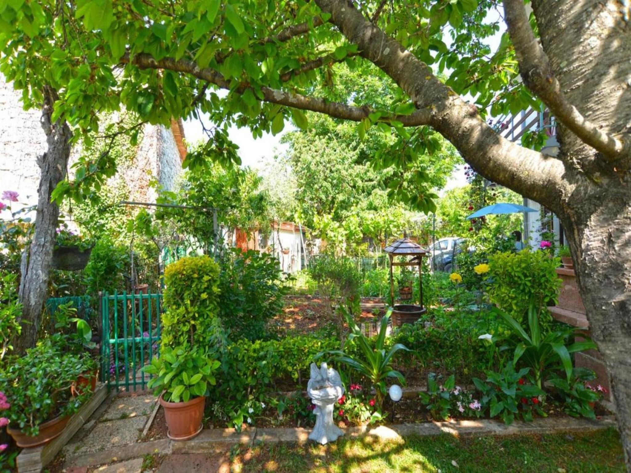 Welcoming apartment with garden