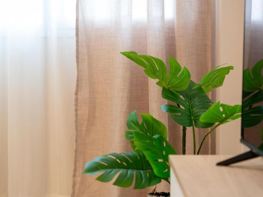Vivelorural Confital Home vista Canteras
