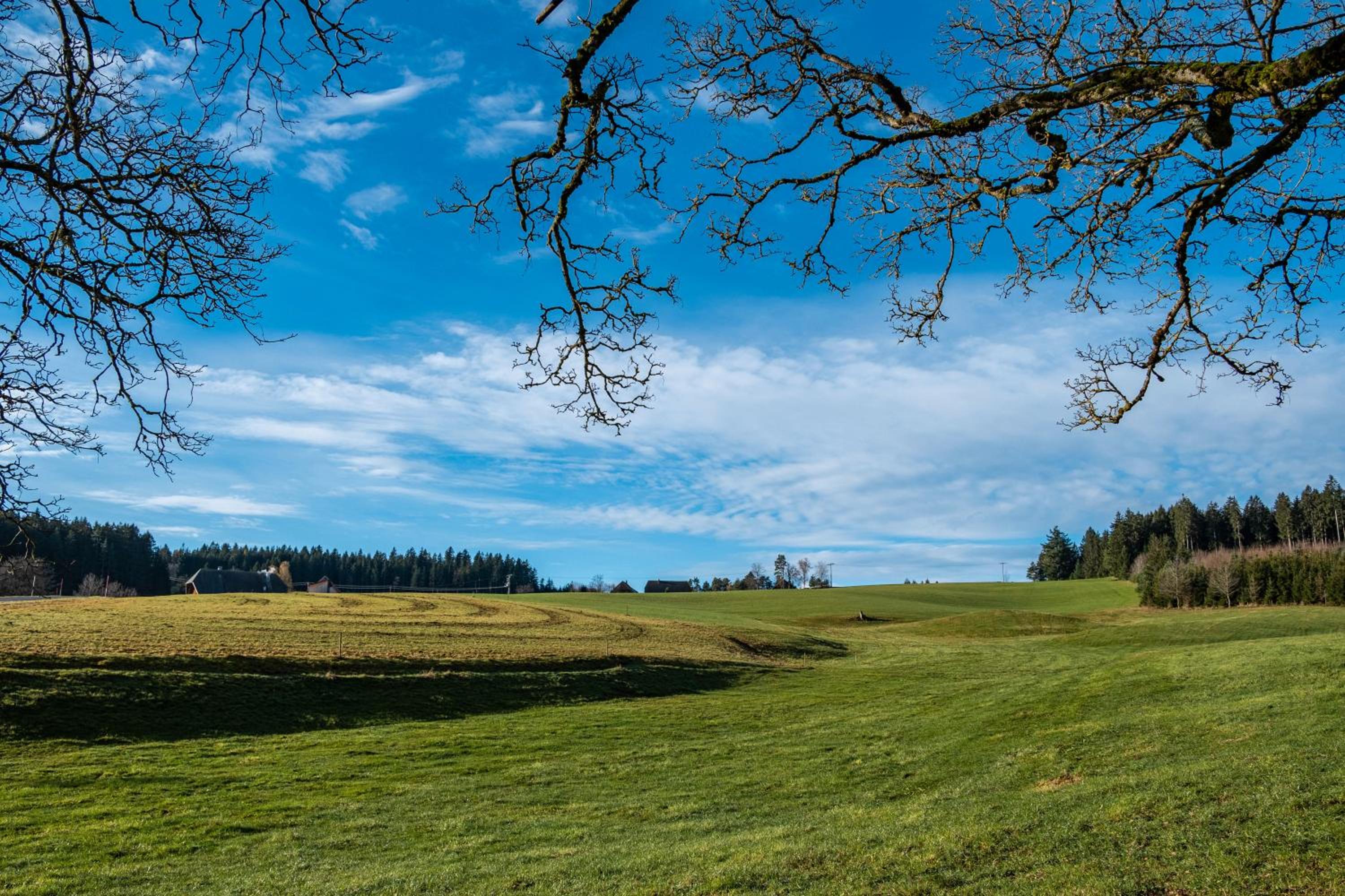 Zuckerbauernhof Unterkunft mit Hund